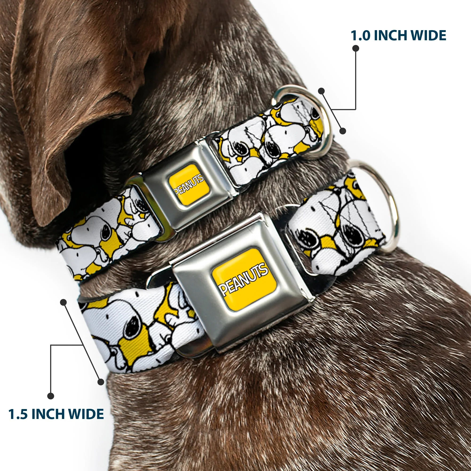 PEANUTS Title Logo Full Color Yellow/White Seatbelt Buckle Collar - Peanuts Snoopy Pose Stacked Yellow - Image 2