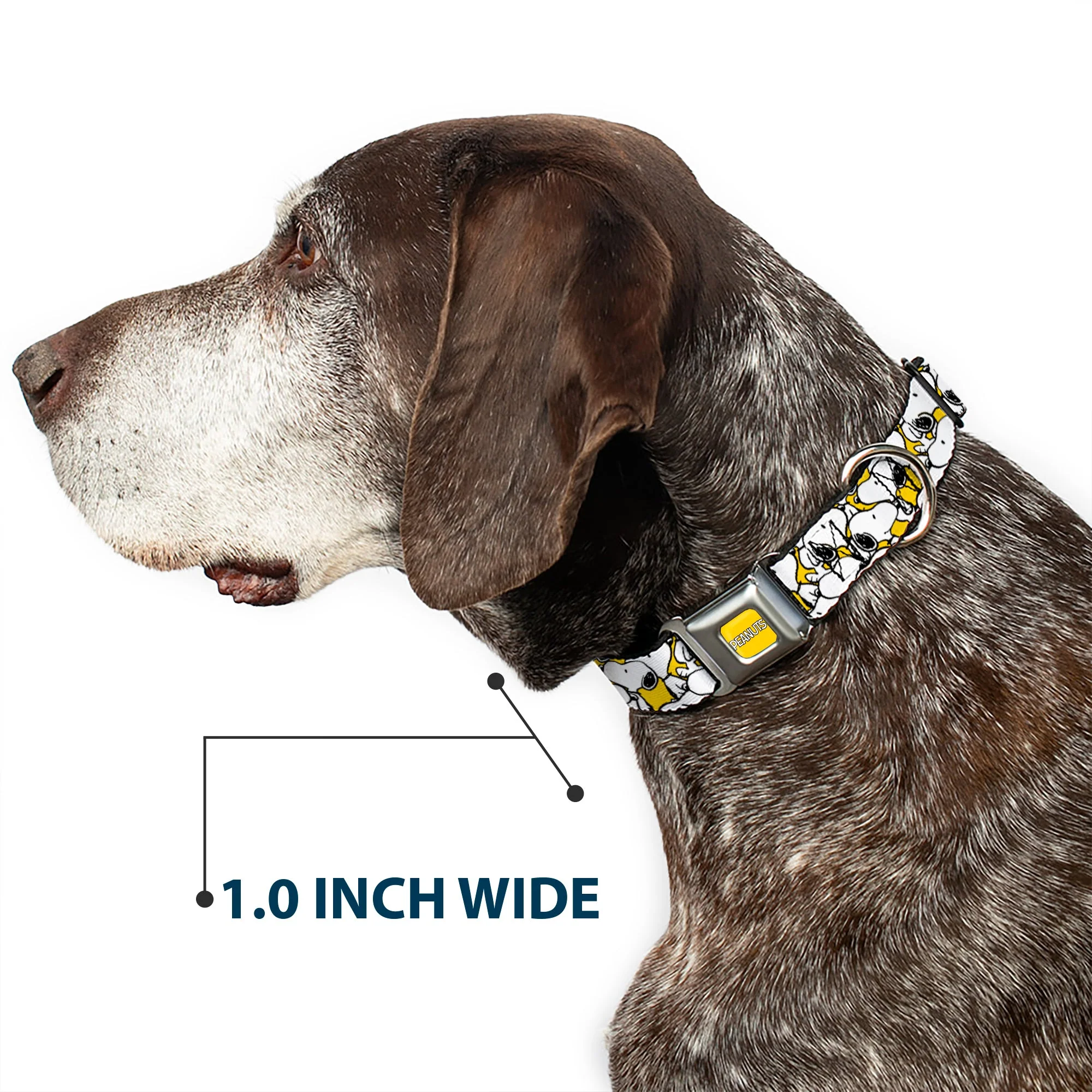 PEANUTS Title Logo Full Color Yellow/White Seatbelt Buckle Collar - Peanuts Snoopy Pose Stacked Yellow - Image 6