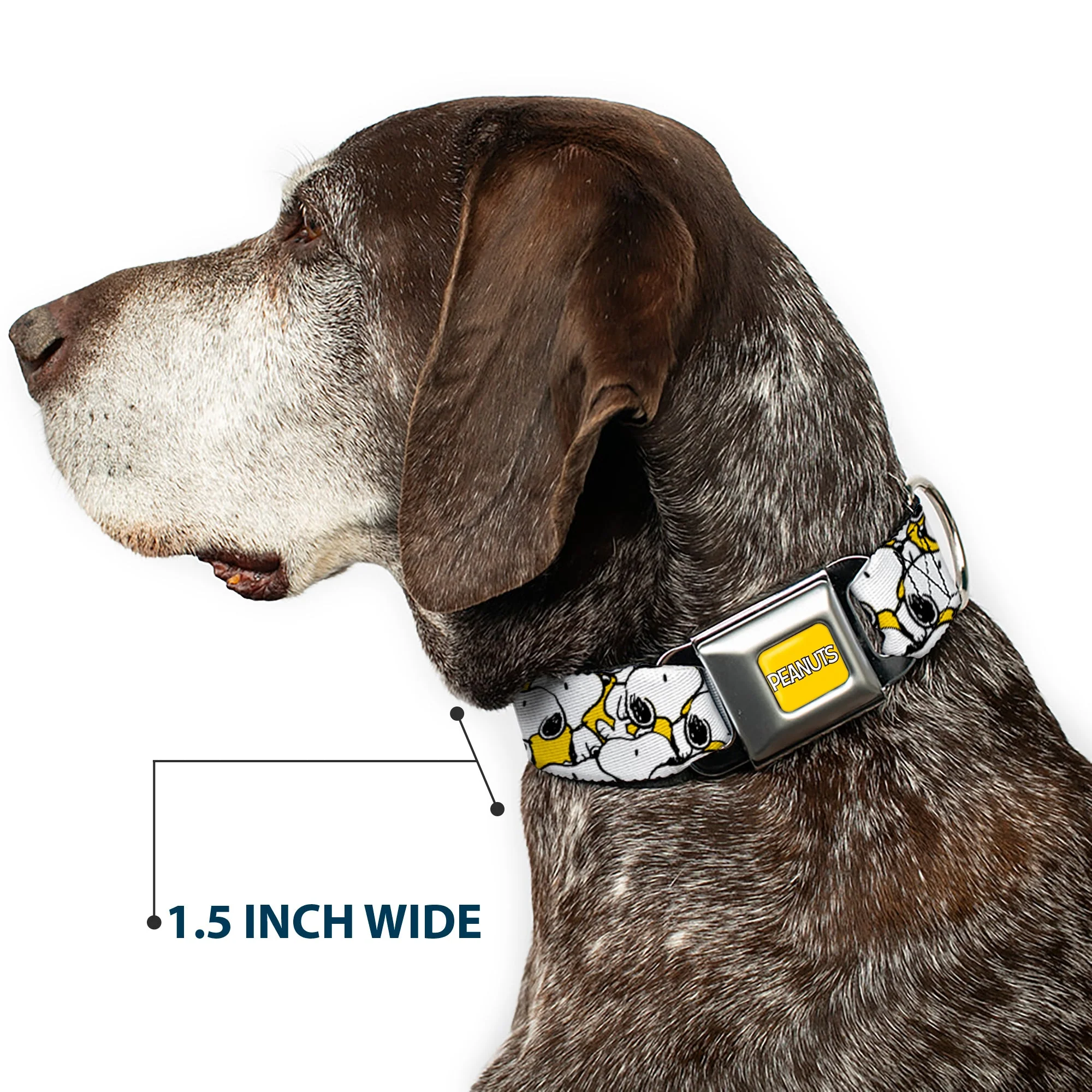PEANUTS Title Logo Full Color Yellow/White Seatbelt Buckle Collar - Peanuts Snoopy Pose Stacked Yellow - Image 7