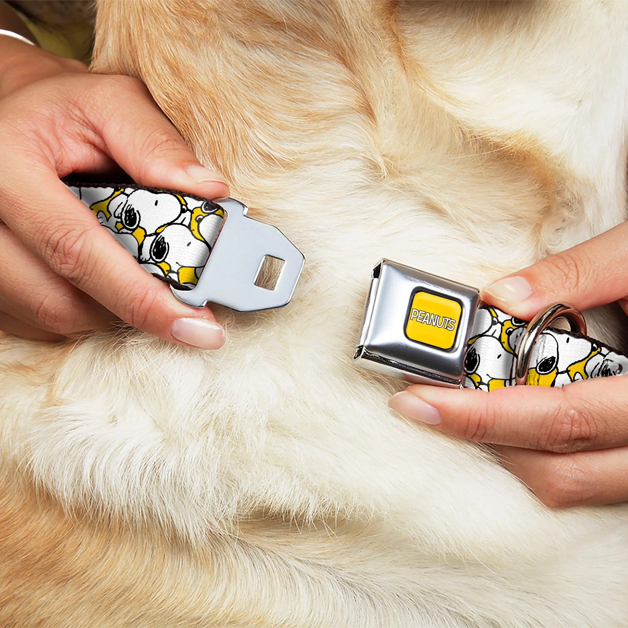 PEANUTS Title Logo Full Color Yellow/White Seatbelt Buckle Collar - Peanuts Snoopy Pose Stacked Yellow - Image 8