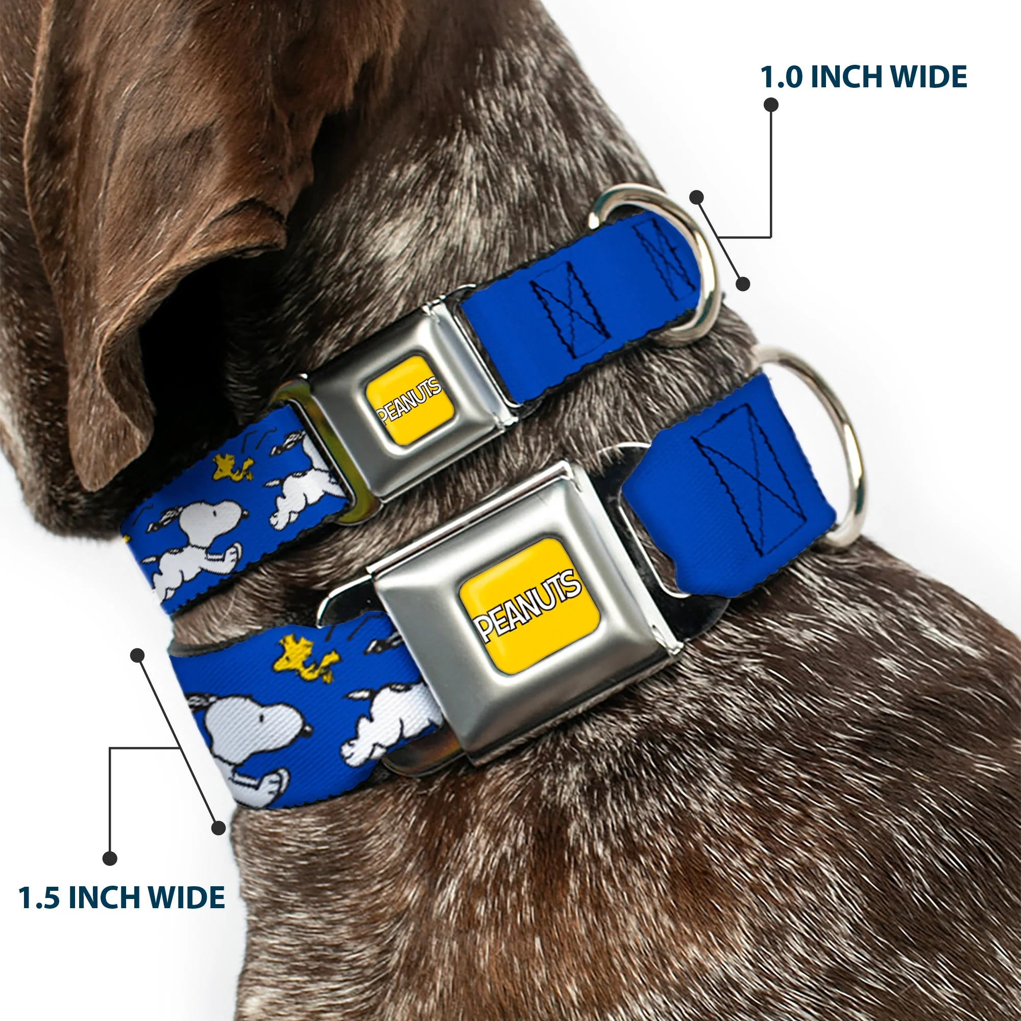 PEANUTS Title Logo Full Color Yellow/White Seatbelt Buckle Collar - Peanuts Snoopy Running and Woodstock Pose Blue - Image 2