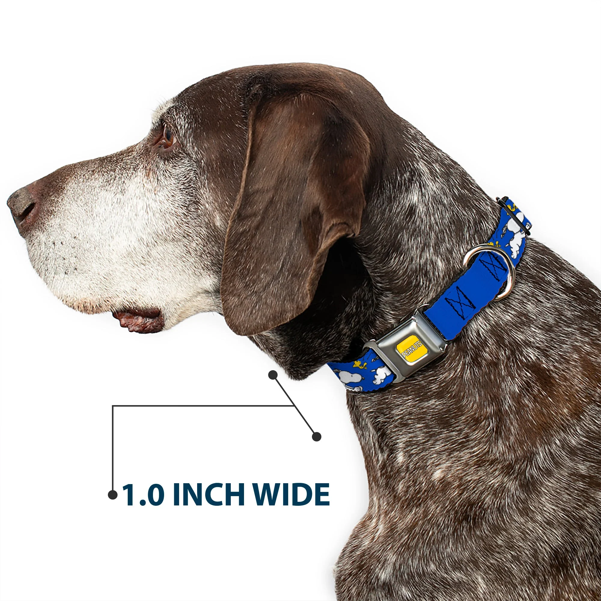 PEANUTS Title Logo Full Color Yellow/White Seatbelt Buckle Collar - Peanuts Snoopy Running and Woodstock Pose Blue - Image 6
