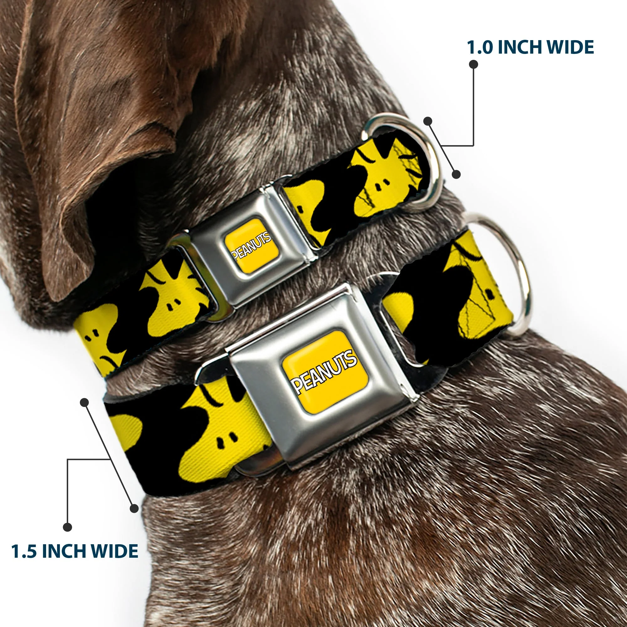 PEANUTS Title Logo Full Color Yellow/White Seatbelt Buckle Collar - Peanuts Woodstock Face Flip Black/Yellow - Image 2