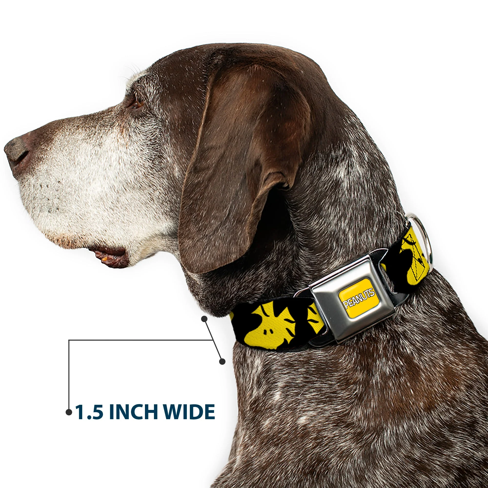 PEANUTS Title Logo Full Color Yellow/White Seatbelt Buckle Collar - Peanuts Woodstock Face Flip Black/Yellow - Image 7