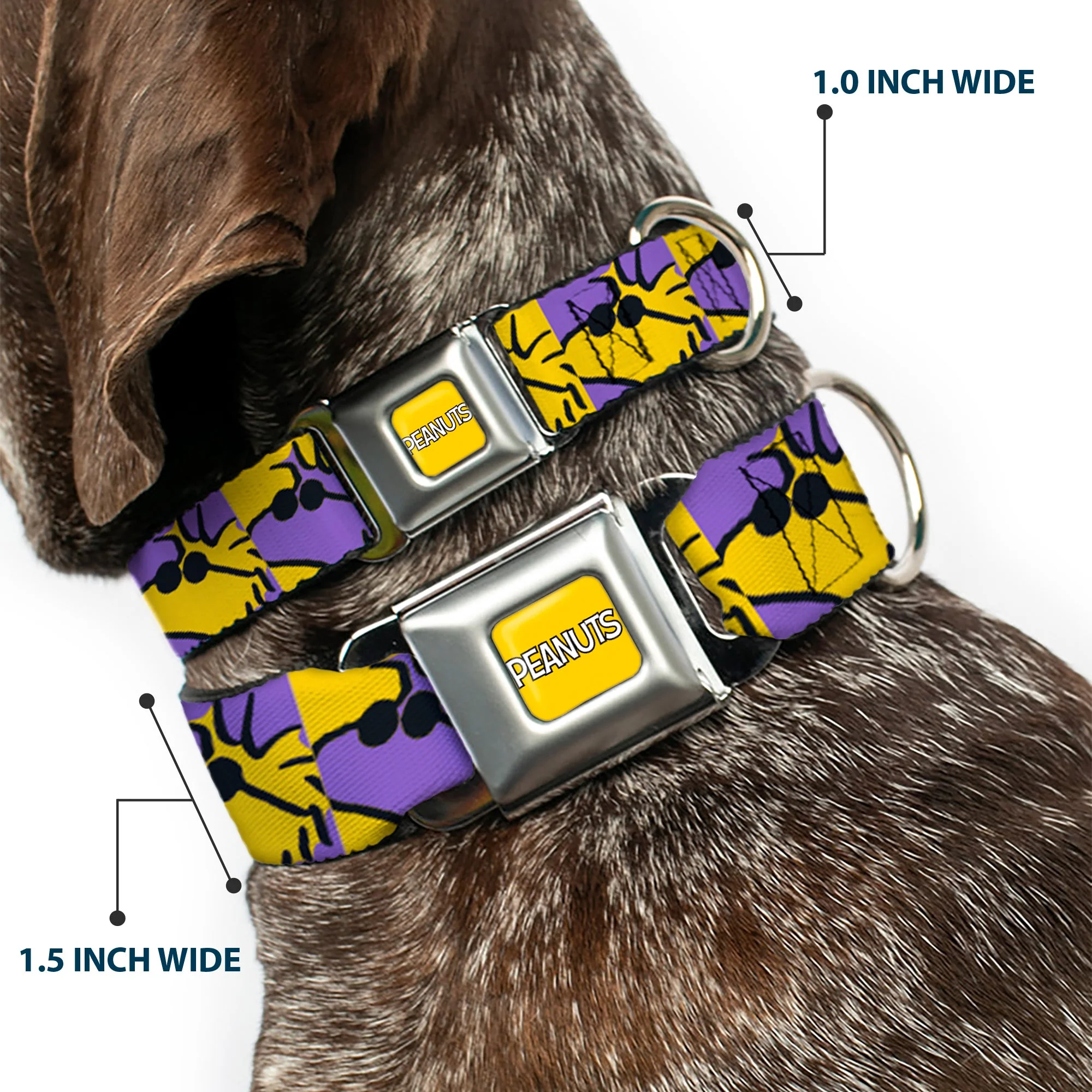 PEANUTS Title Logo Full Color Yellow/White Seatbelt Buckle Collar - Peanuts Woodstock Shades Pose Blocks Blue/Yellow/Black - Image 2