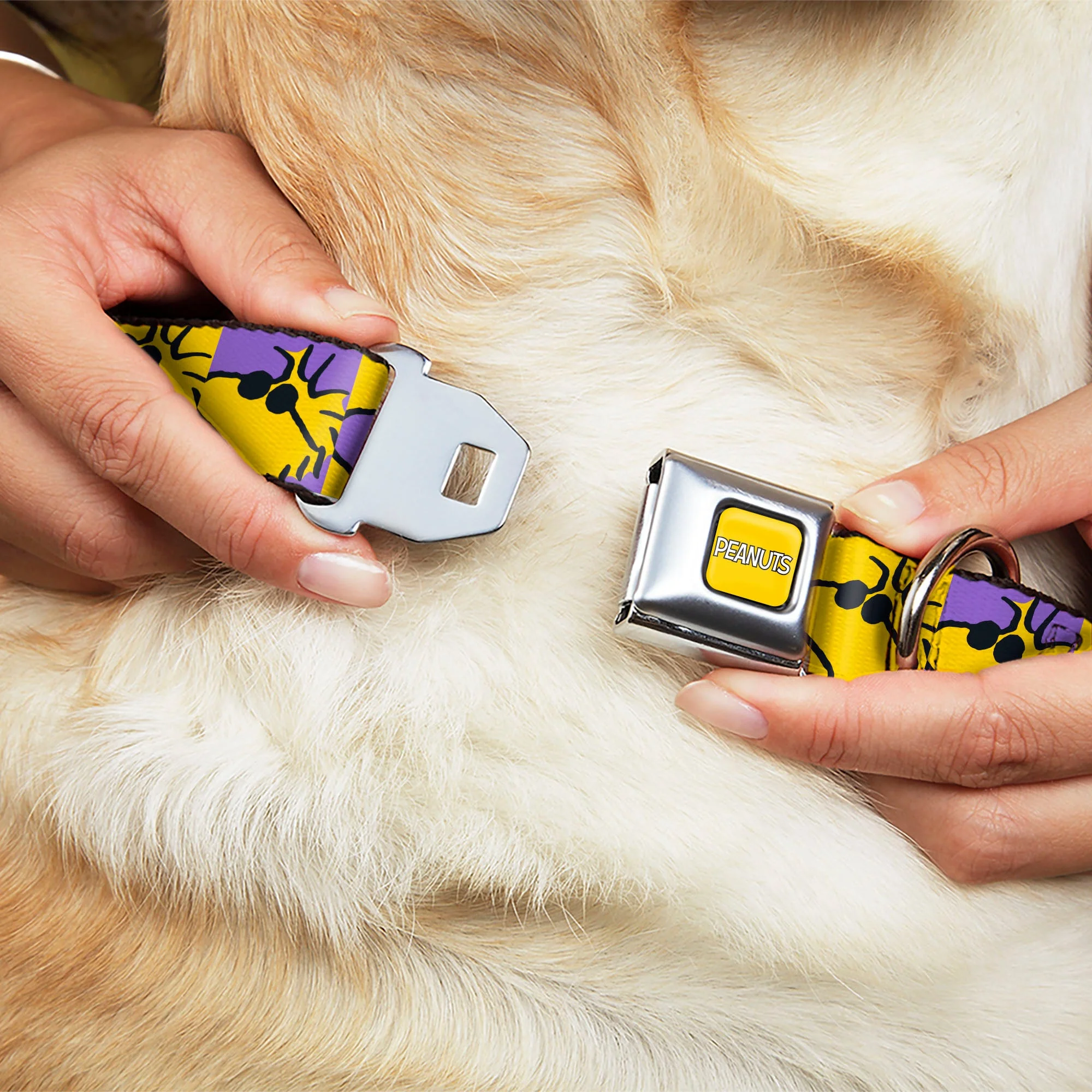 PEANUTS Title Logo Full Color Yellow/White Seatbelt Buckle Collar - Peanuts Woodstock Shades Pose Blocks Blue/Yellow/Black - Image 8