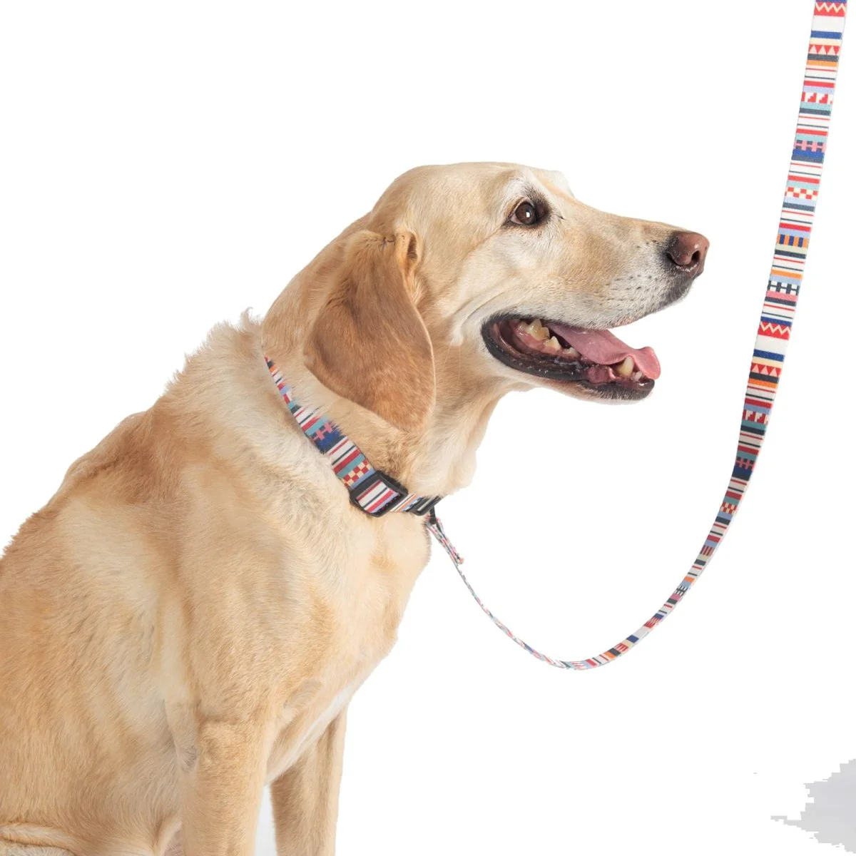 Pendleton Adventure Leash - Image 16