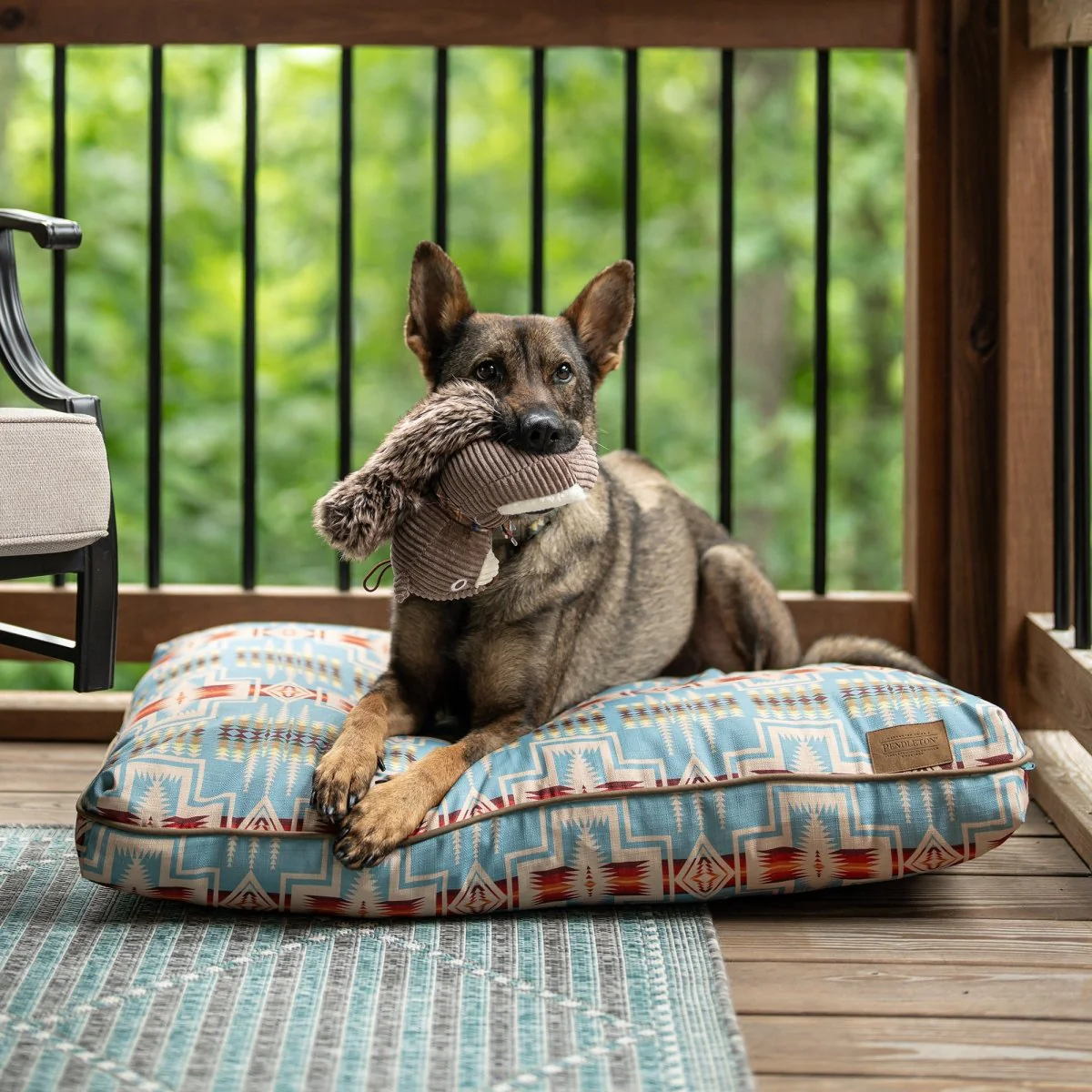 Pendleton All Season Pet Napper - Image 20