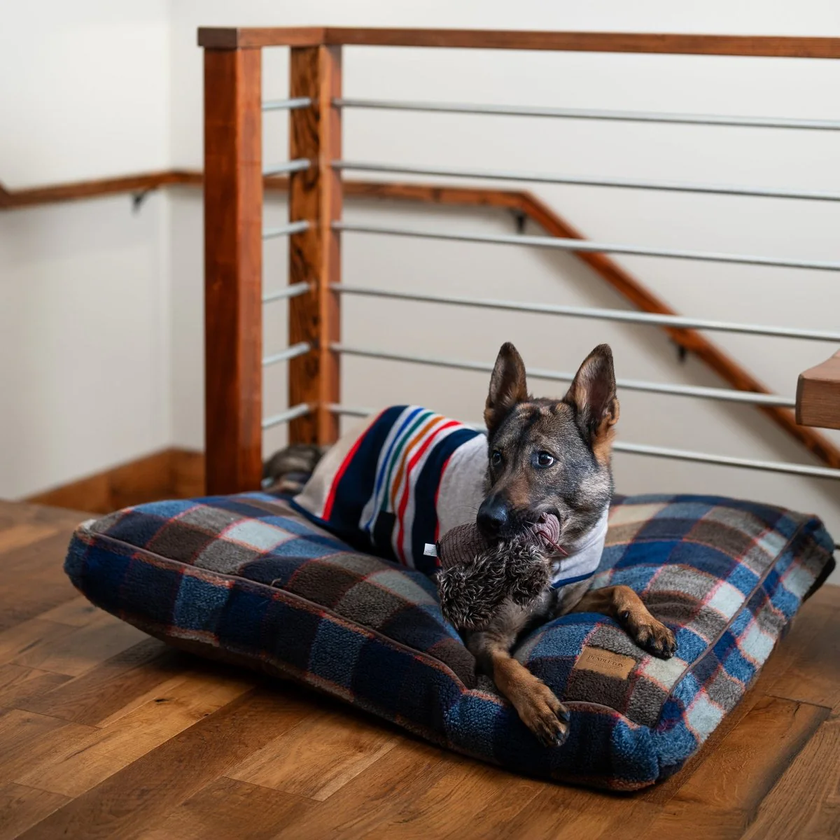 Pendleton Berber Pet Napper - Image 2