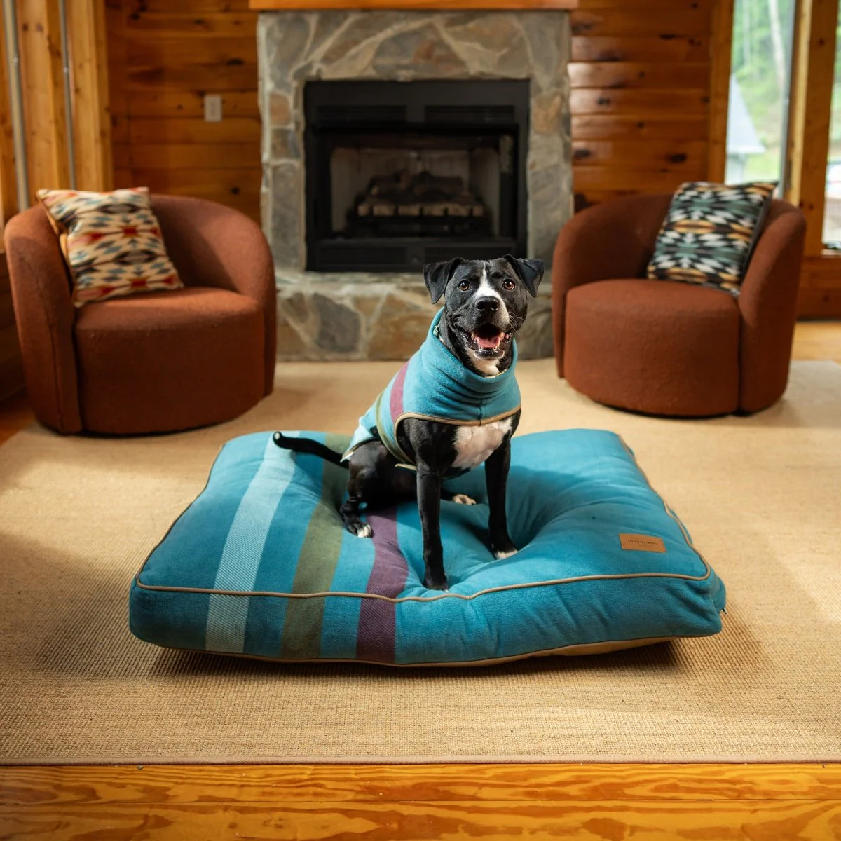 Pendleton Dog Vest - Image 13