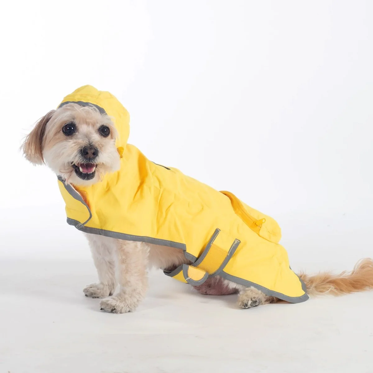 Pendleton Glacier National Park Waterproof Raincoat for Dogs - Image 2