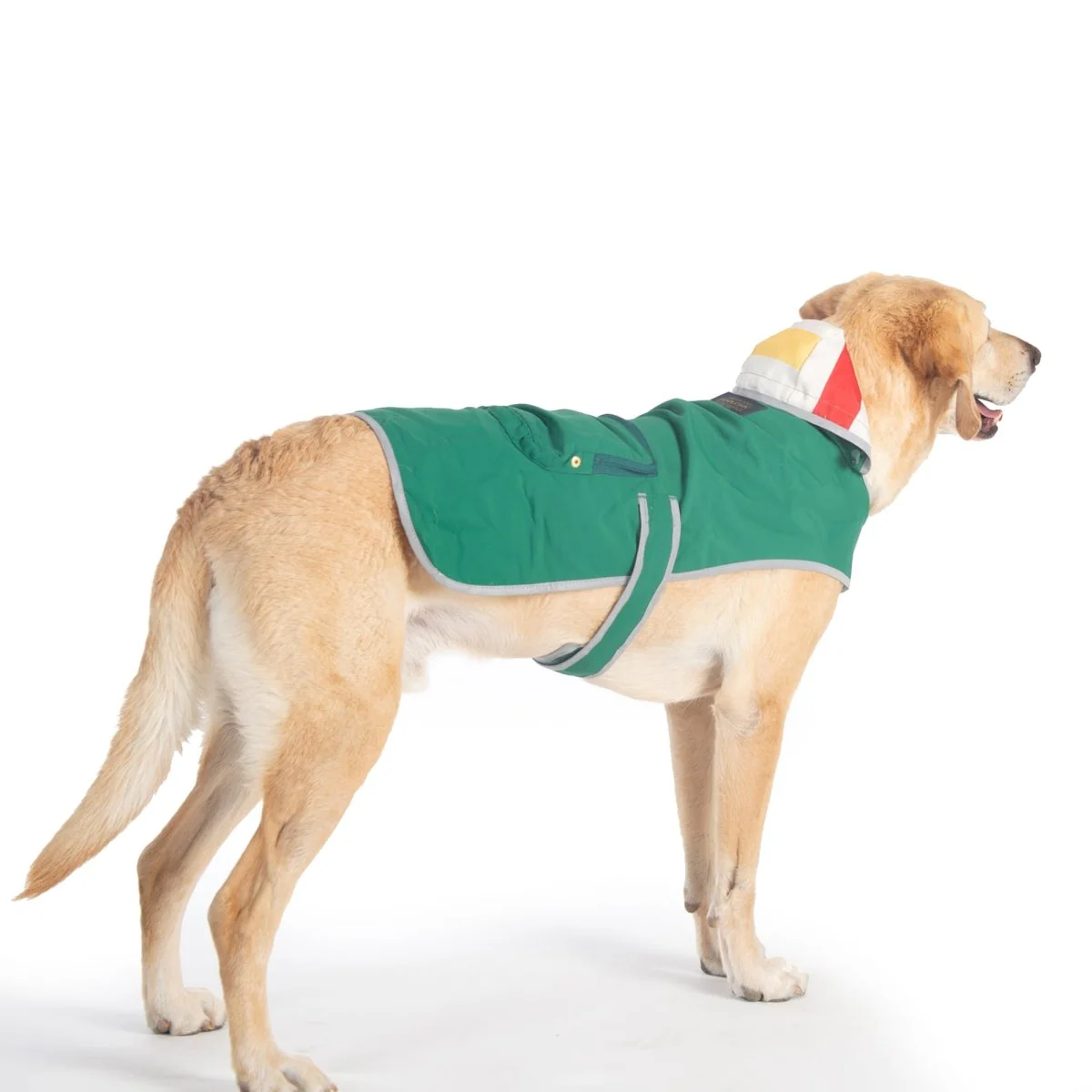 Pendleton Glacier National Park Waterproof Raincoat for Dogs - Image 8