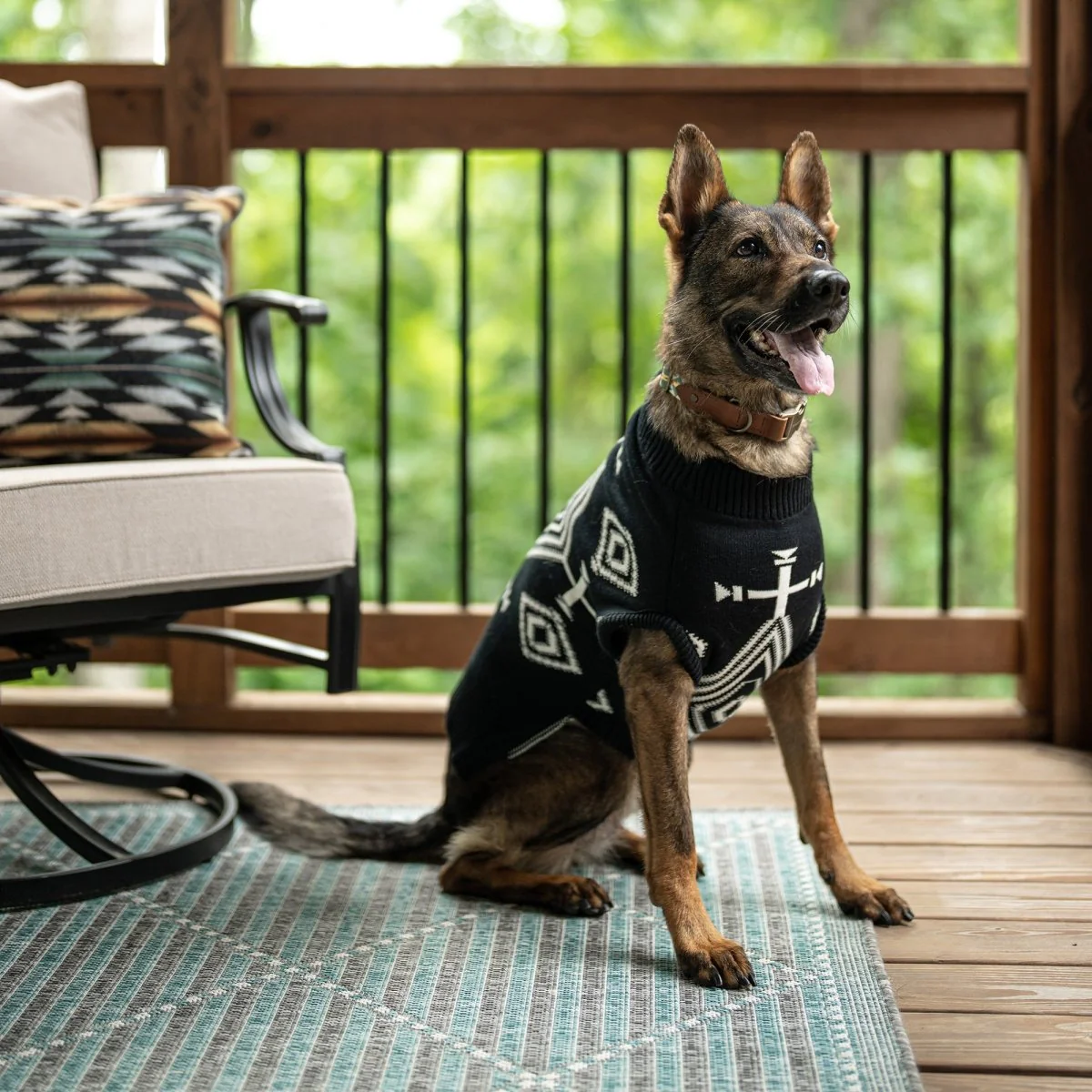 Pendleton Knitted Dog Sweater - Image 13