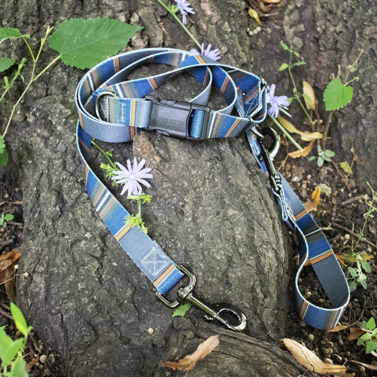 Pendleton National Park Adventure Collar - Image 14