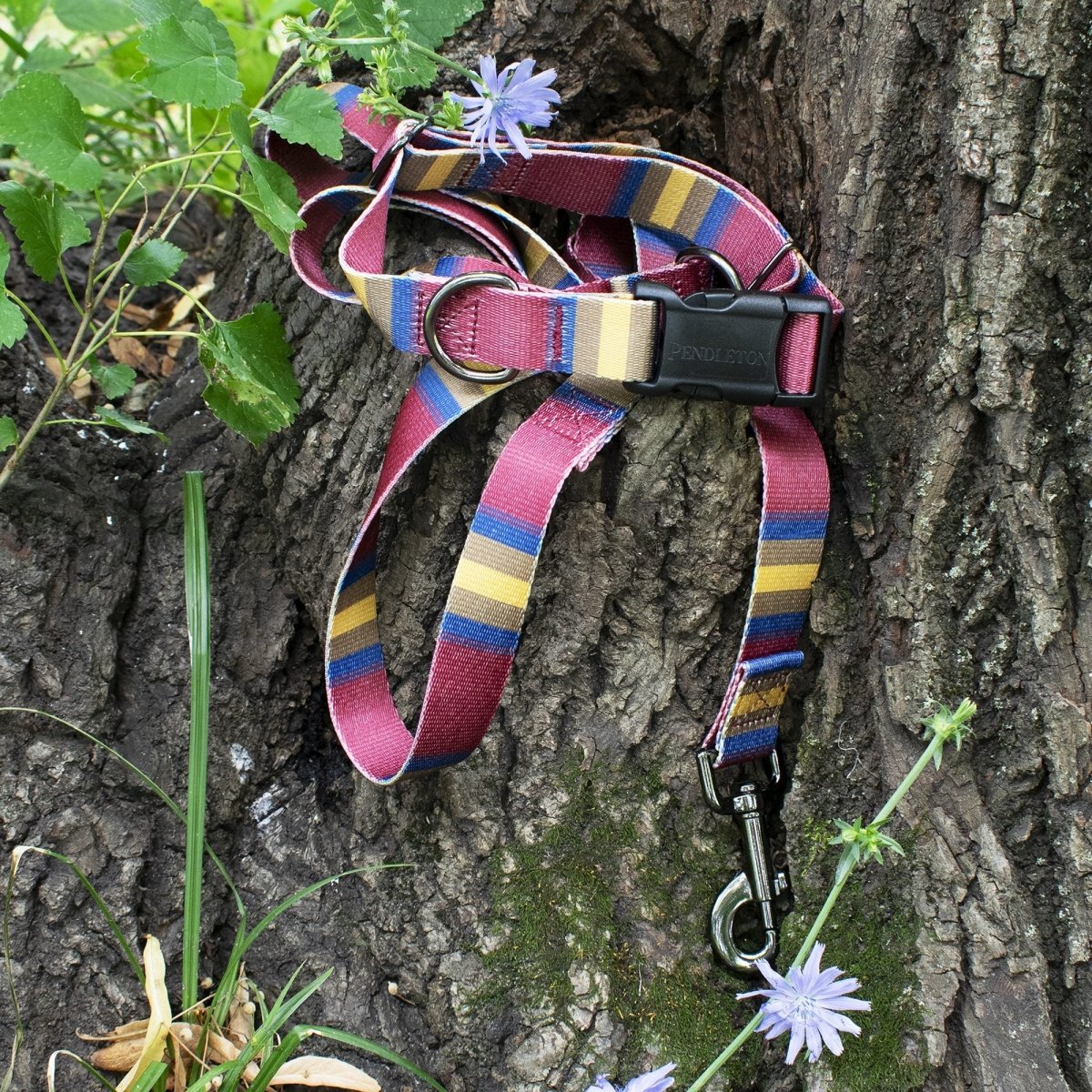 Pendleton National Park Adventure Collar - Image 15