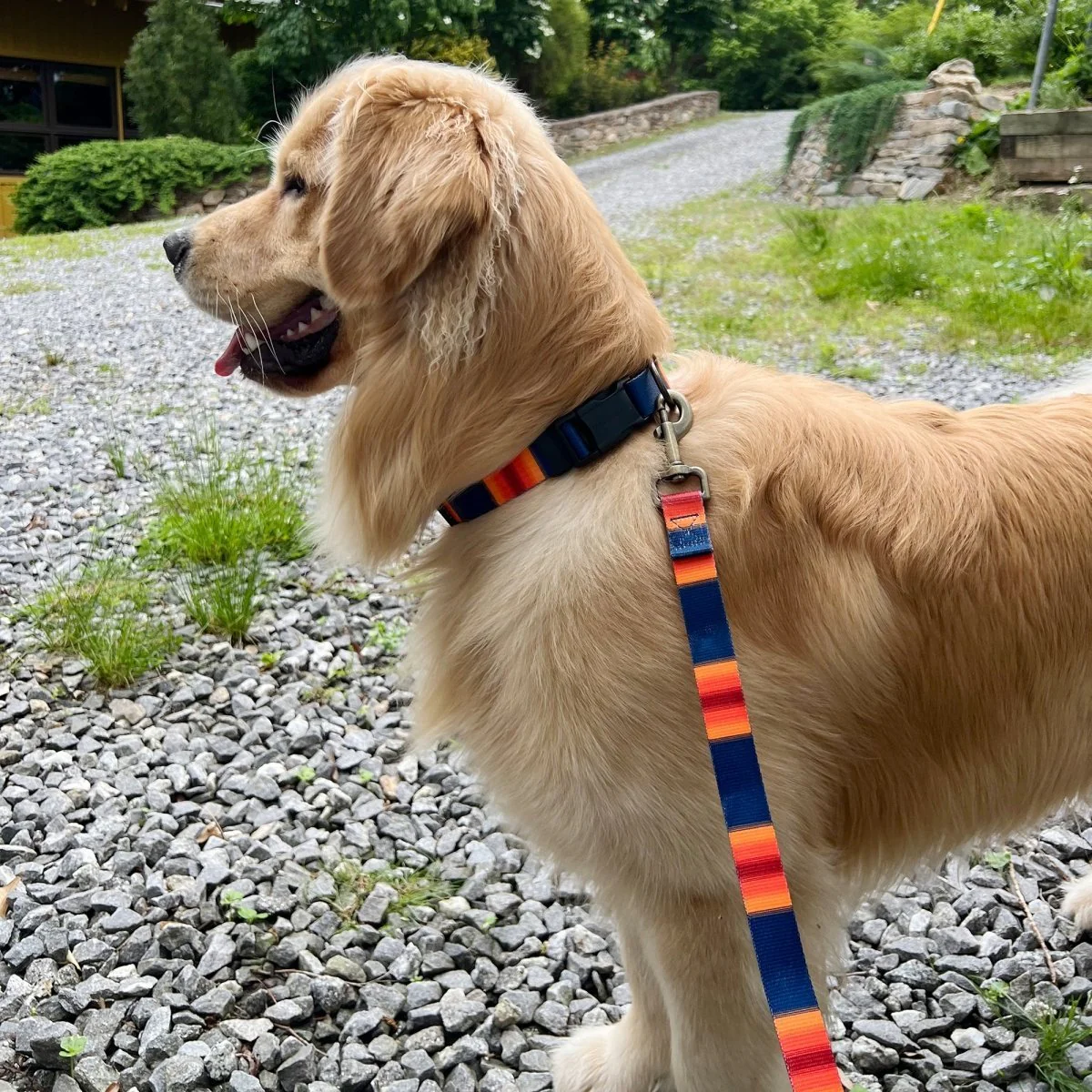 Pendleton National Park Adventure Collar - Image 16
