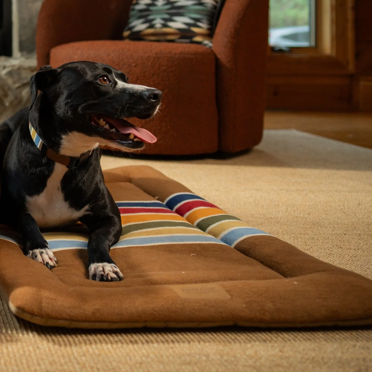 Pendleton National Park Comfort Cushion - Image 6