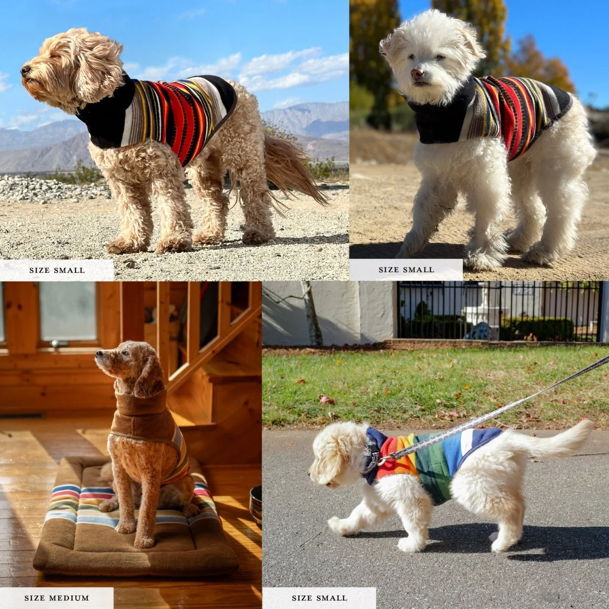 Pendleton National Park Dog Vest - Image 8
