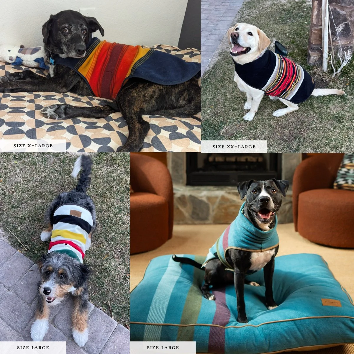 Pendleton National Park Dog Vest - Image 9