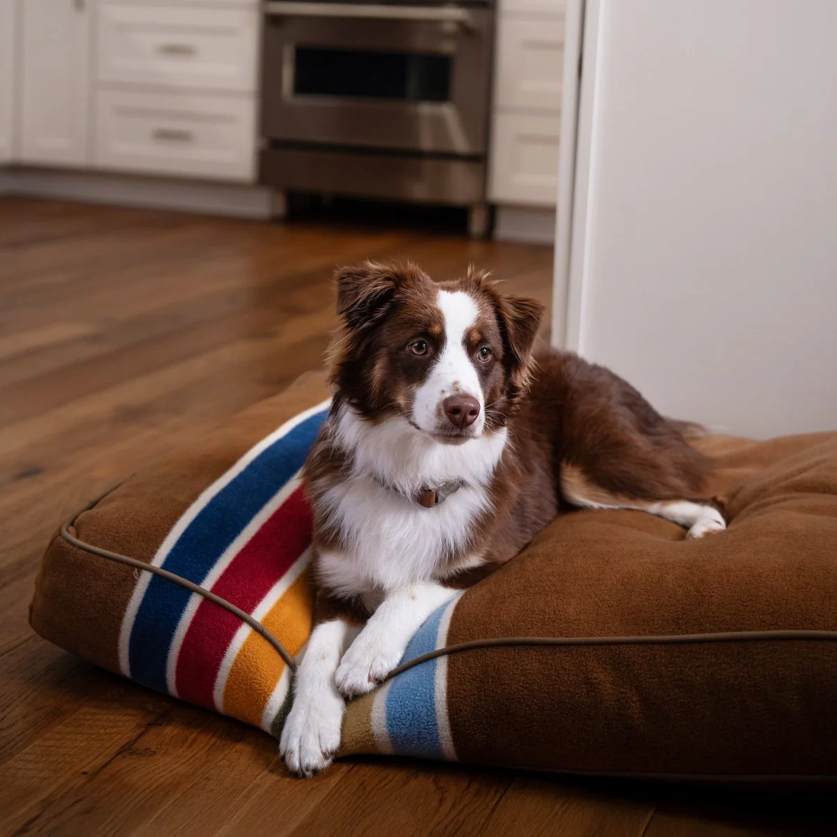 Pendleton National Park Pet Napper - Image 2