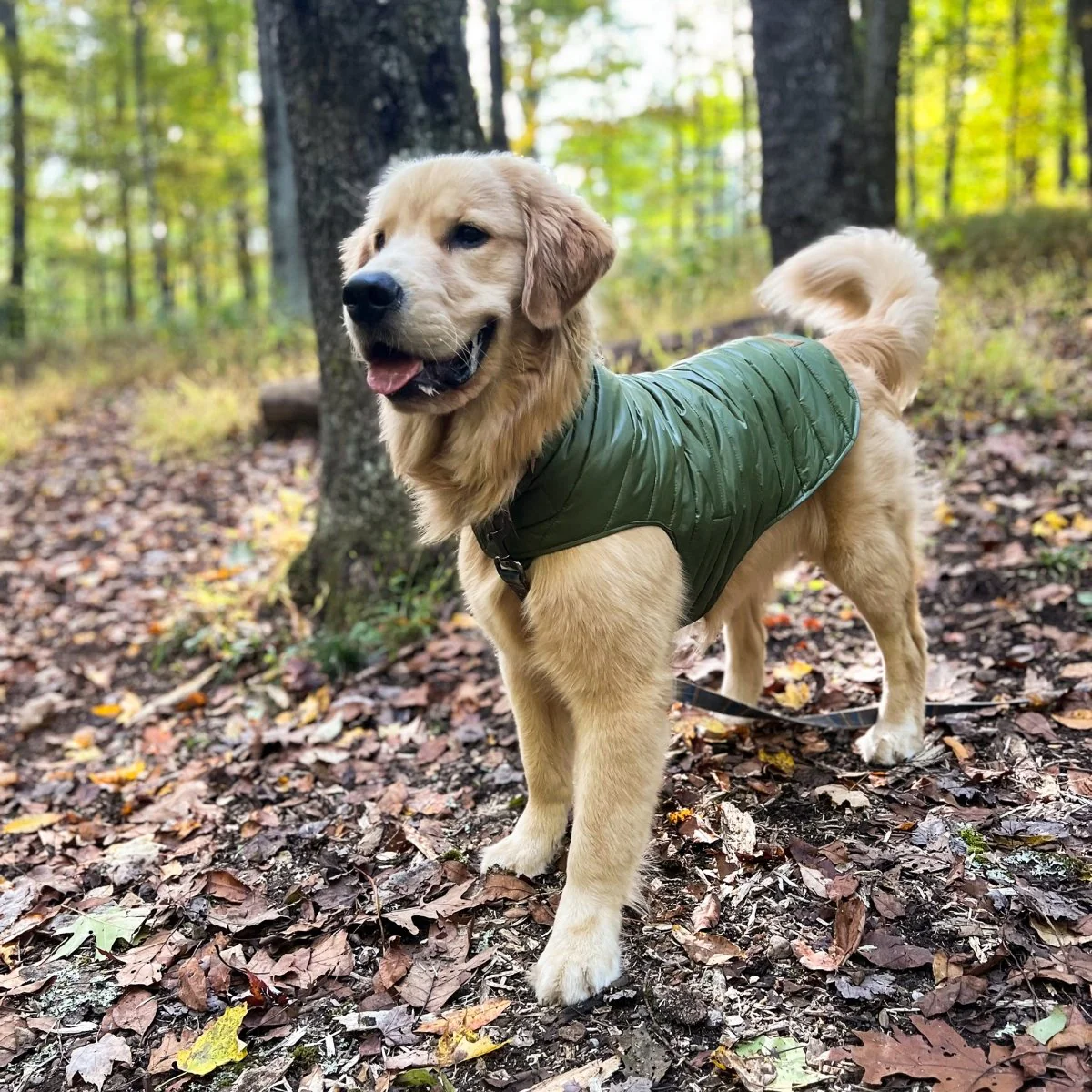 Pendleton Puffer Dog Coat - Image 13