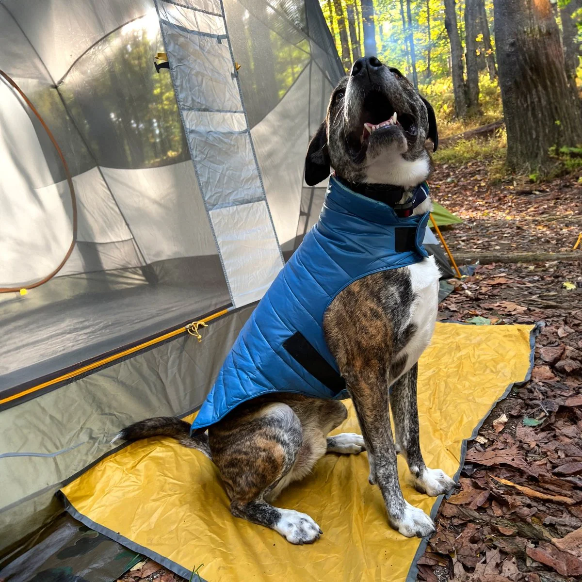 Pendleton Puffer Dog Coat - Image 15