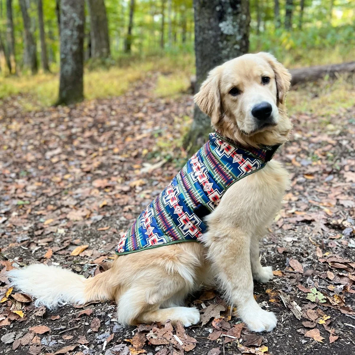 Pendleton Puffer Dog Coat - Image 2
