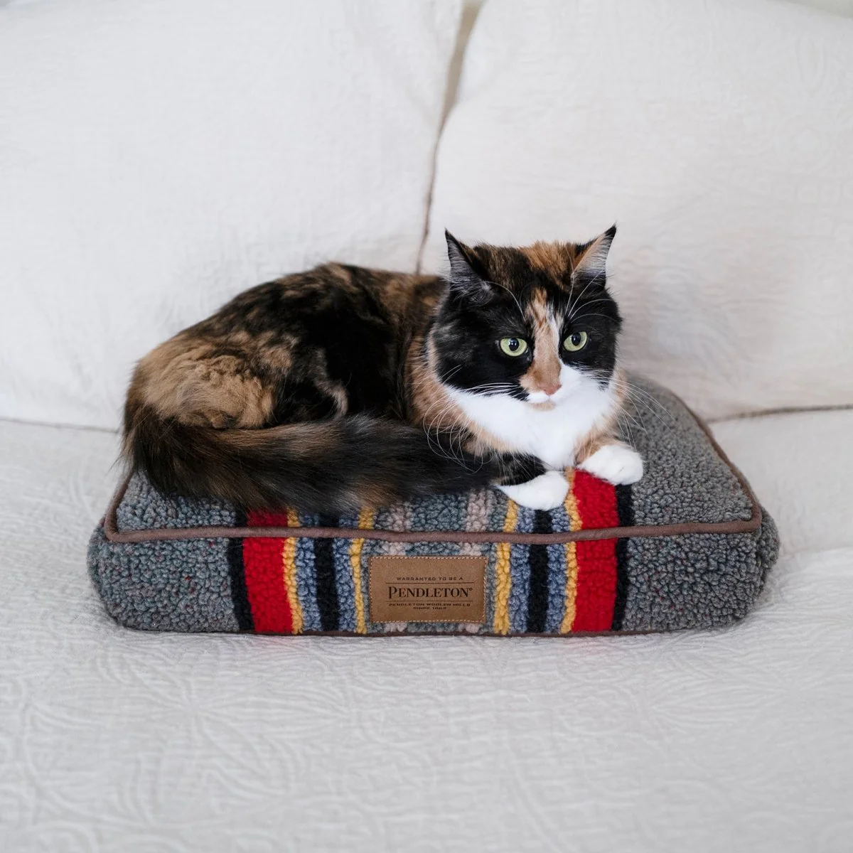Pendleton Vintage Camp Pet Napper - Image 5