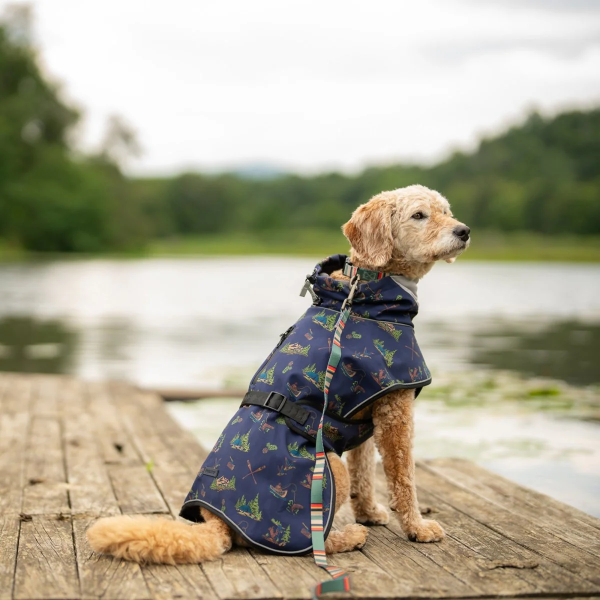 Pendleton Waterproof Adventure Pet Coat - Image 17