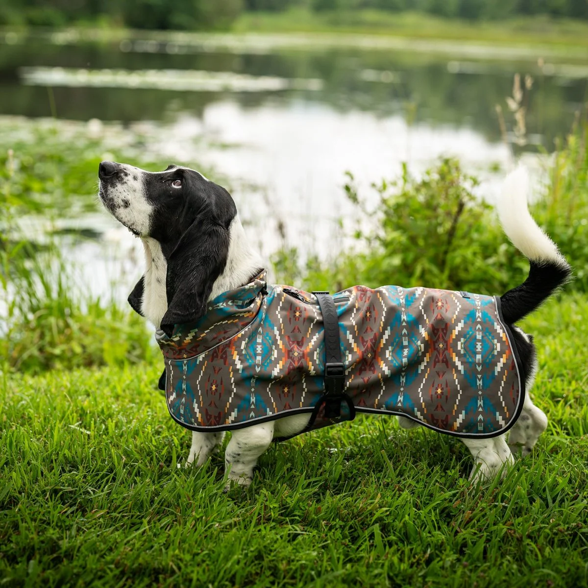 Pendleton Waterproof Adventure Pet Coat - Image 2