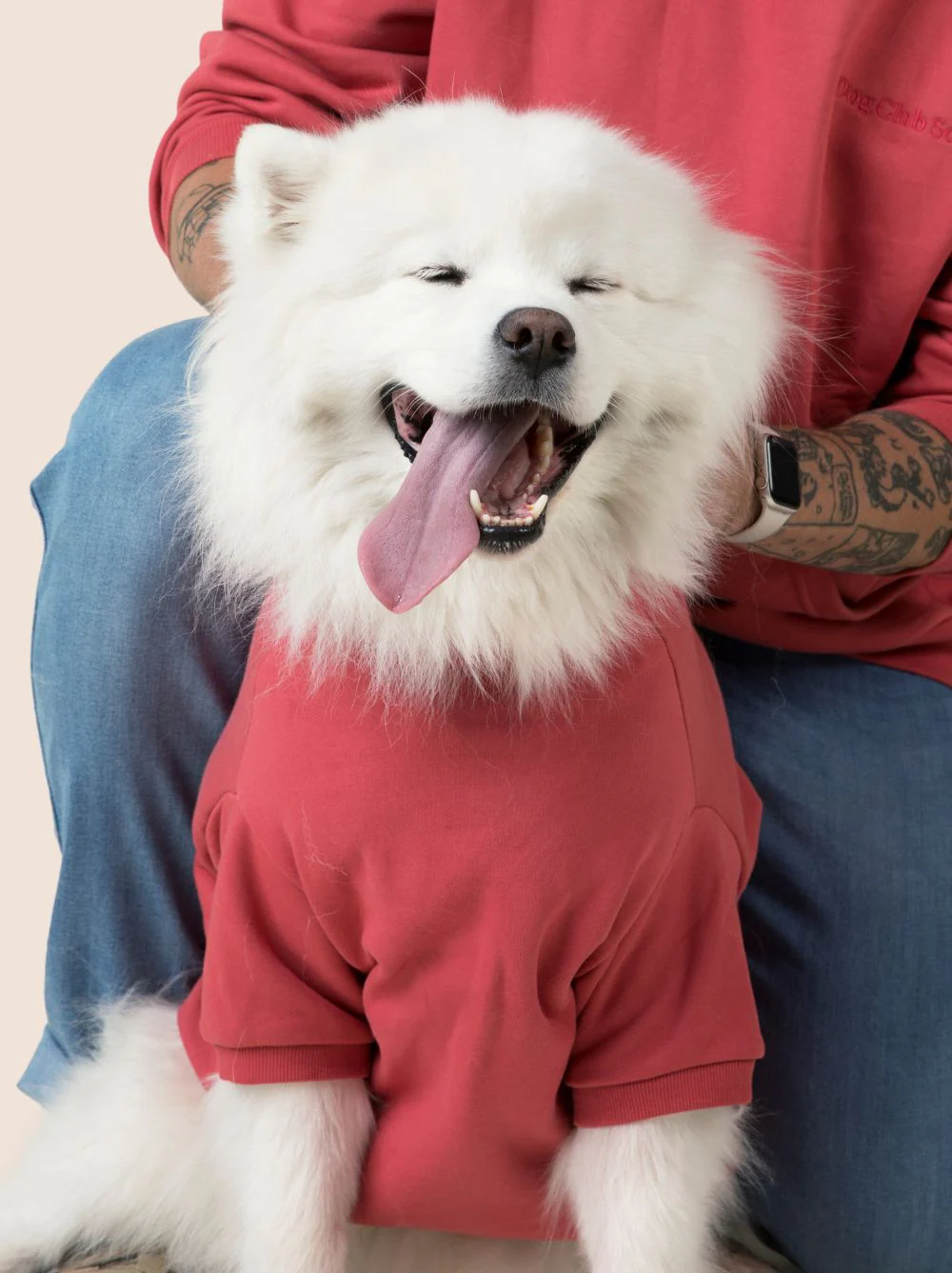 Perfect Hoodie (Adult Sizes Only) - Image 4