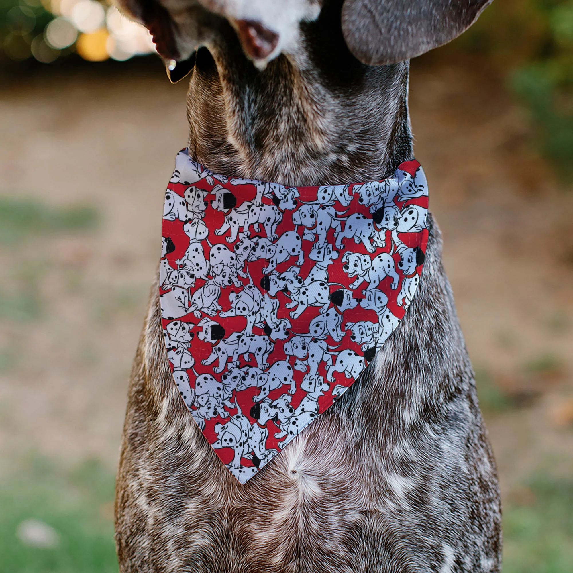 Pet Bandana - 101 Dalmatians Puppies Scattered Red - Image 4