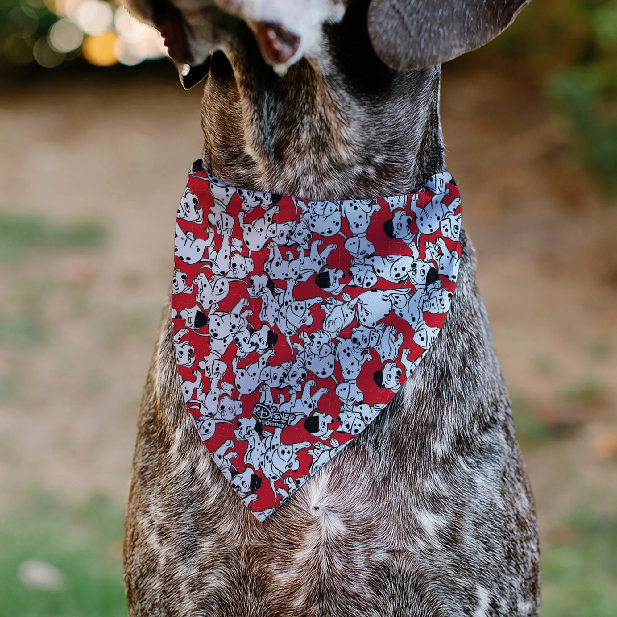 Pet Bandana - 101 Dalmatians Puppies Scattered Red - Image 5