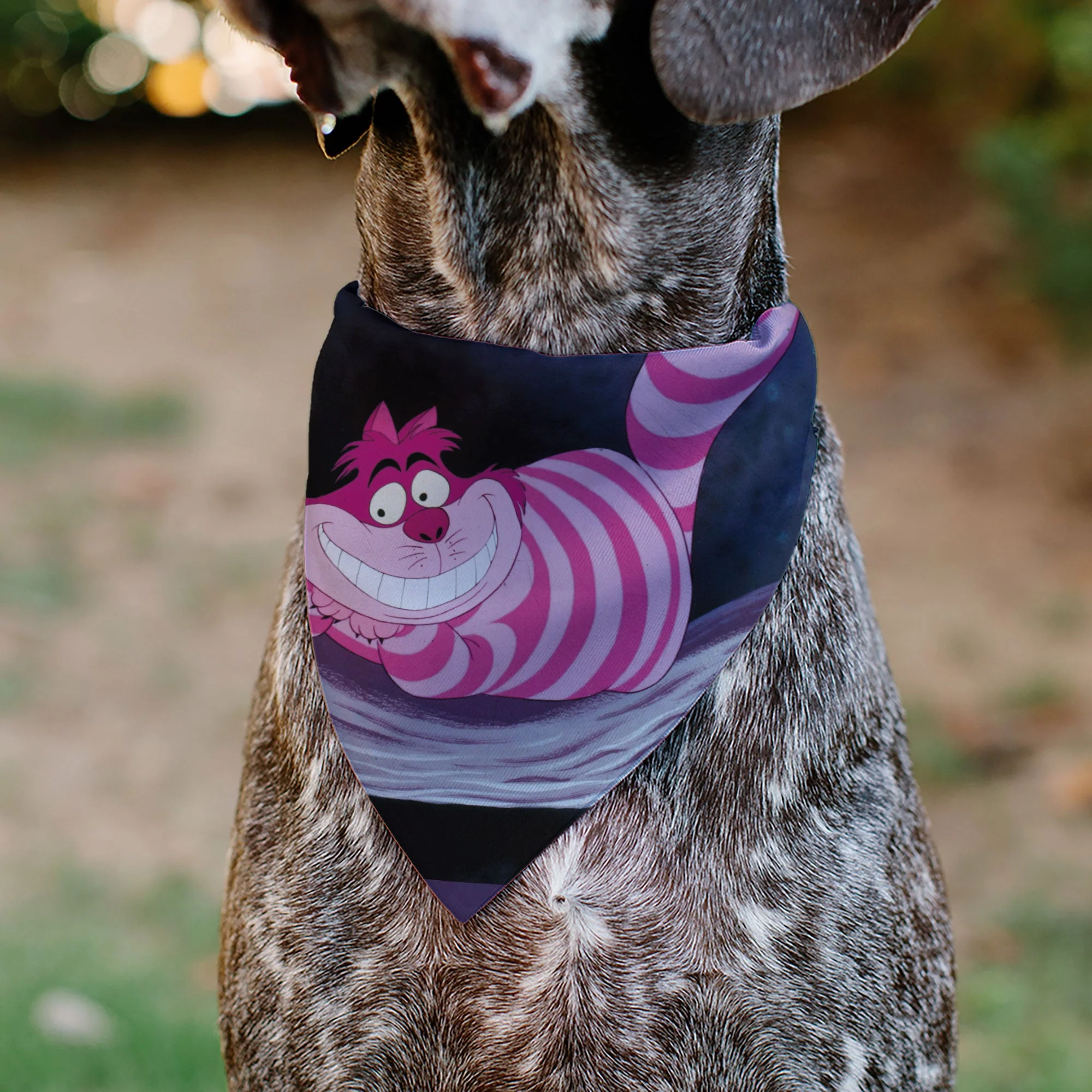 Pet Bandana - Alice in Wonderland Cheshire Cat Smiling Pose - Image 4