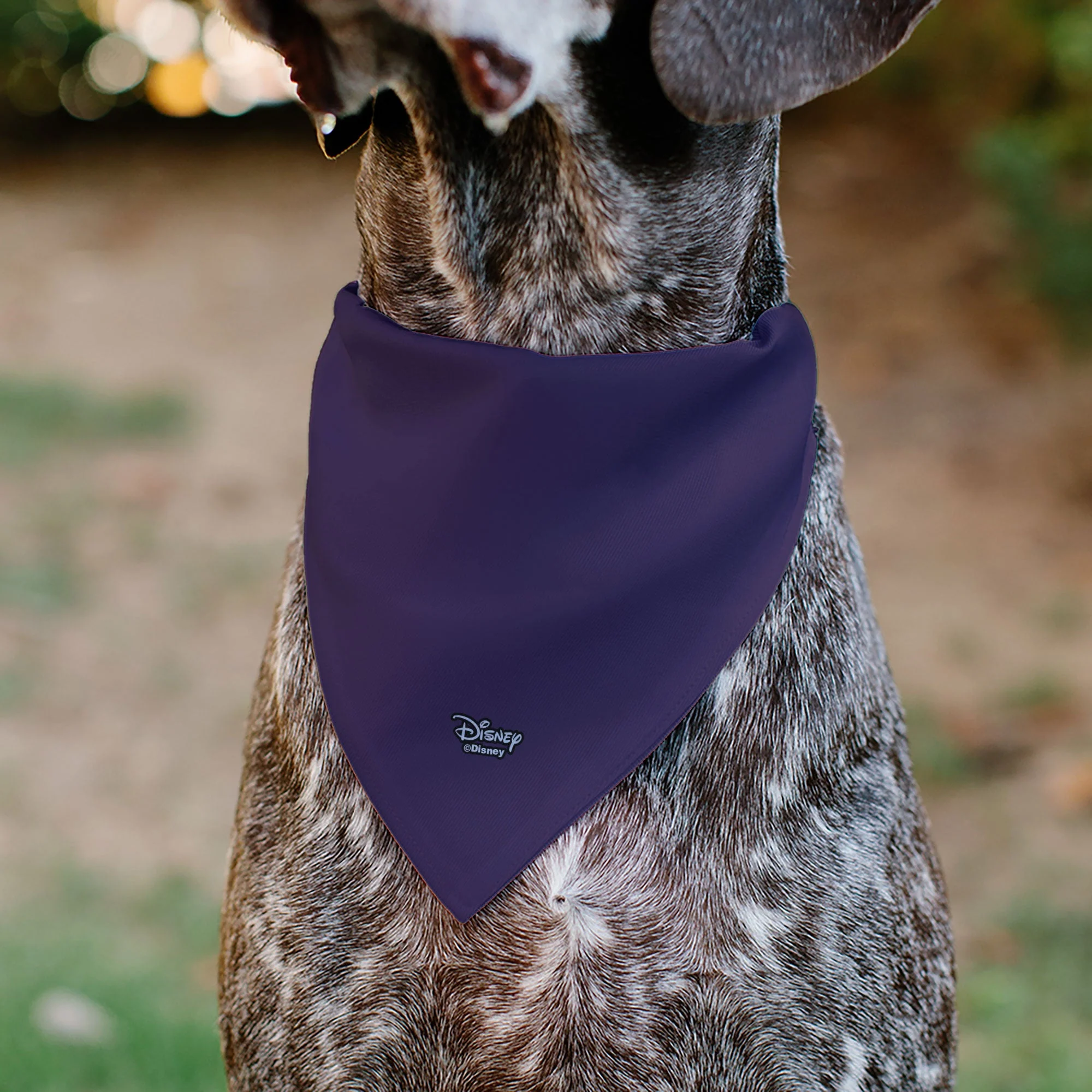 Pet Bandana - Alice in Wonderland Cheshire Cat Smiling Pose - Image 5
