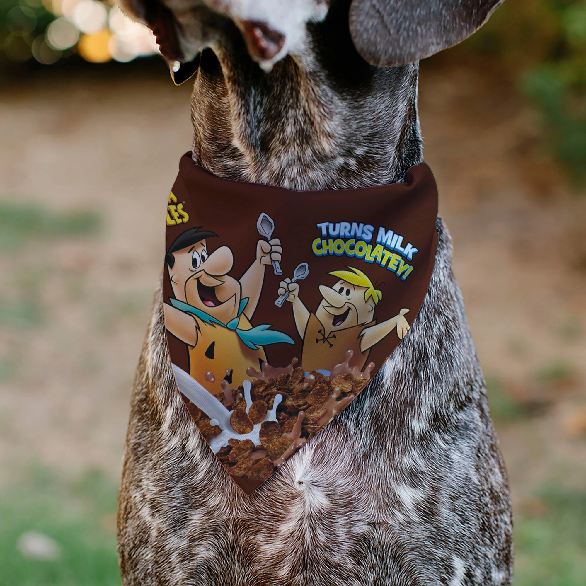 Pet Bandana - COCOA PEBBLES Fred Flintstone and Barney Rubble Cereal Box Print and Vivid Cereal Brown - Image 4