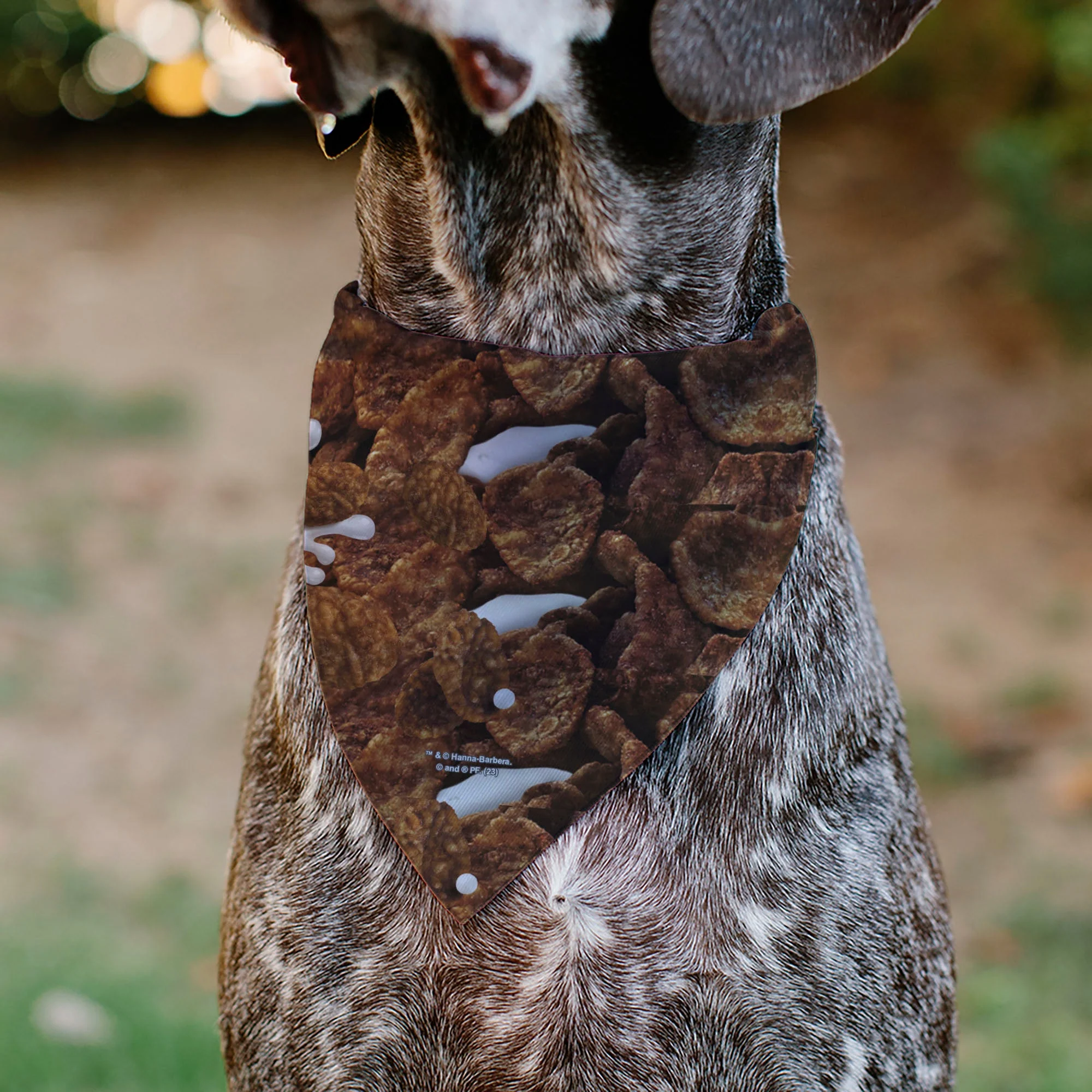 Pet Bandana - COCOA PEBBLES Fred Flintstone and Barney Rubble Cereal Box Print and Vivid Cereal Brown - Image 5