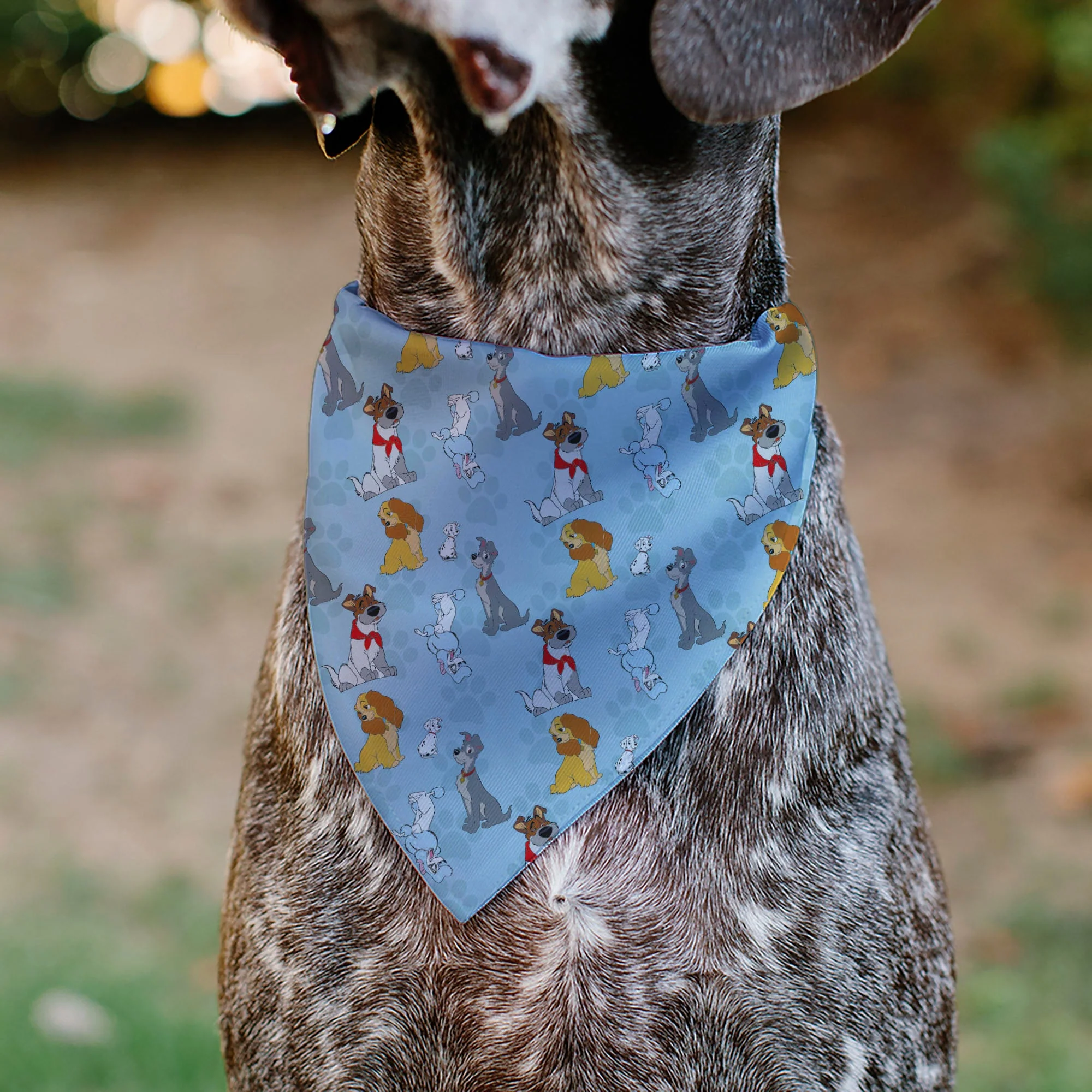 Pet Bandana - Disney Dogs 5-Dog Group Collage/Paws Blues - Image 4