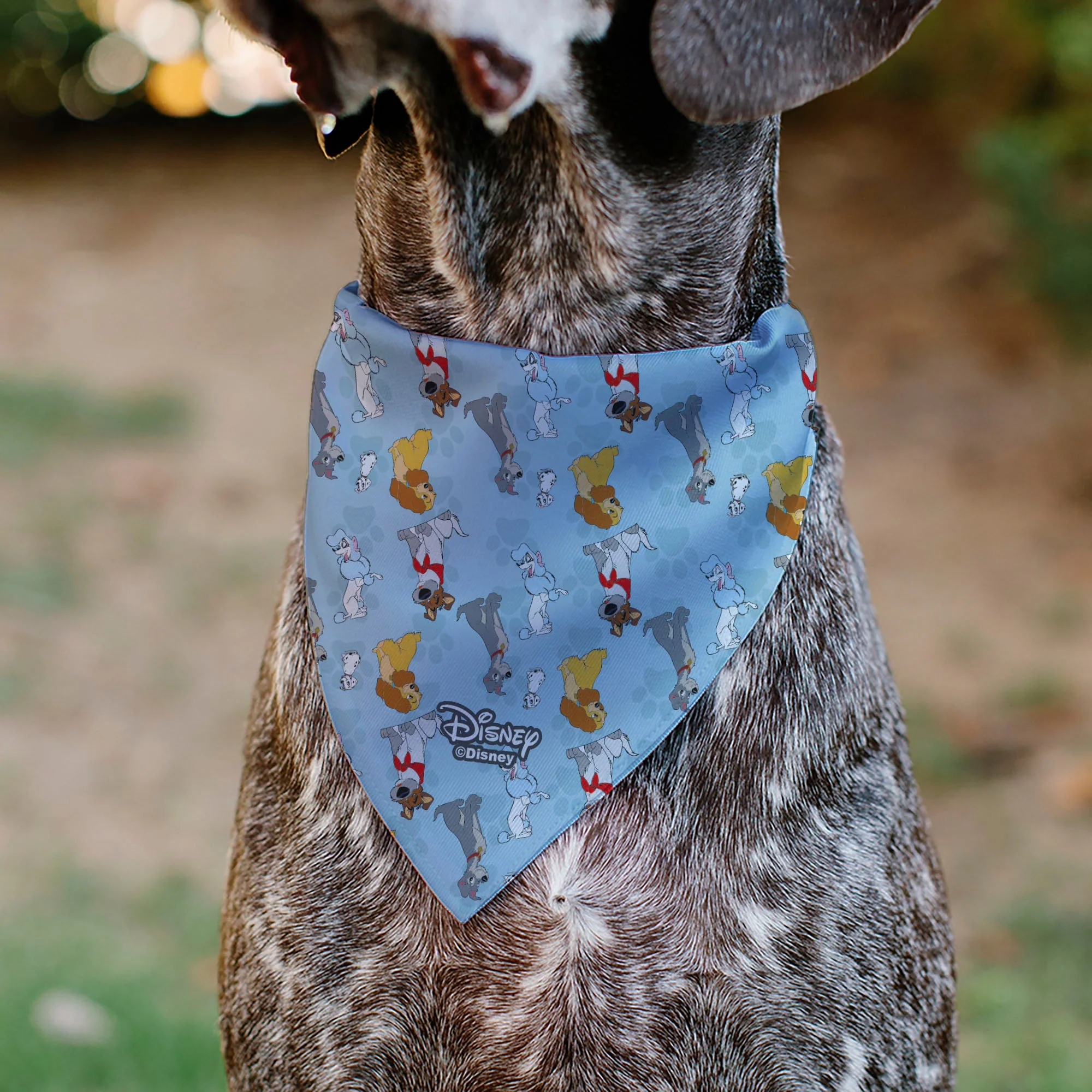 Pet Bandana - Disney Dogs 5-Dog Group Collage/Paws Blues - Image 5