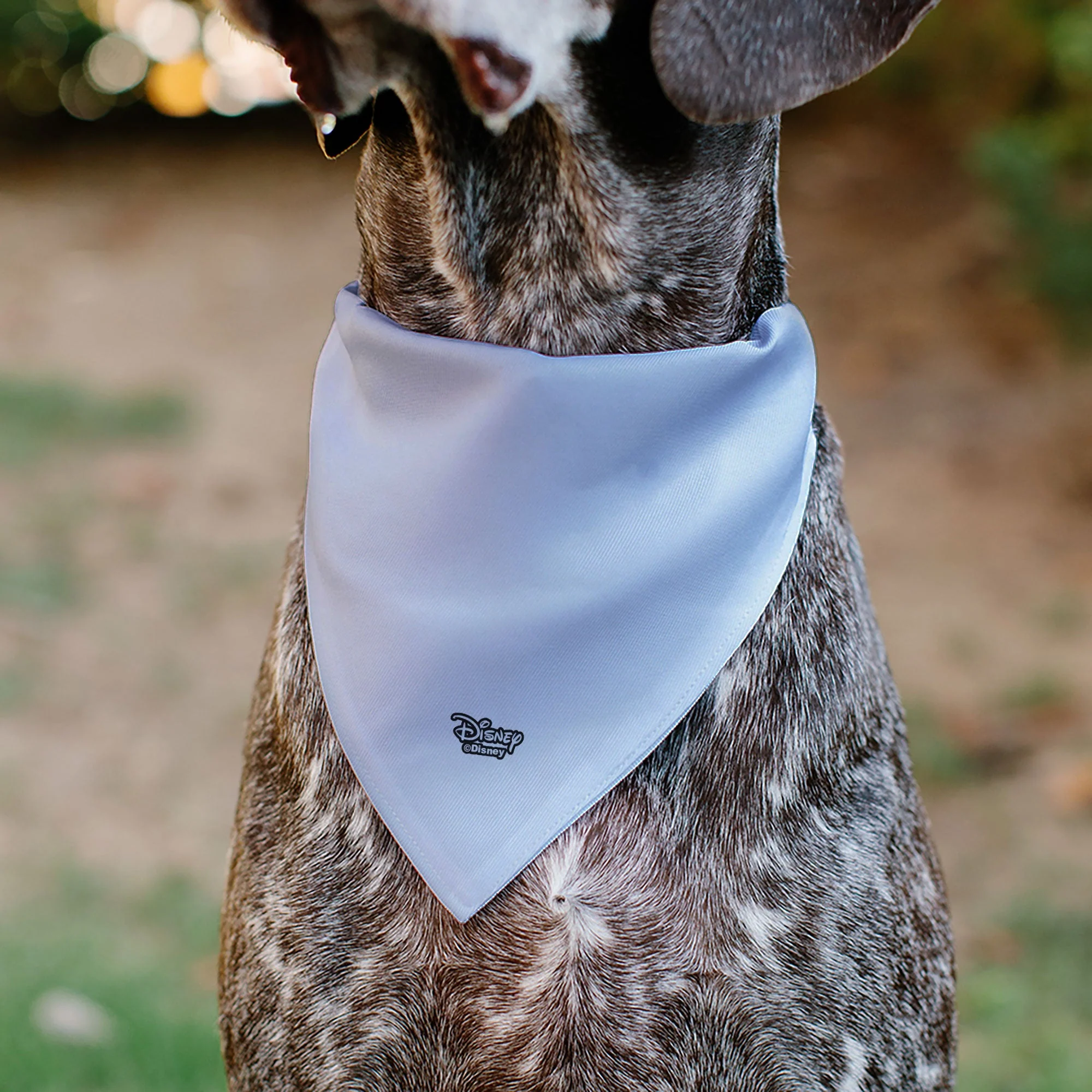 Pet Bandana - Disney Dogs 9-Dog Group Collage/Stars White/Black/Yellow - Image 5