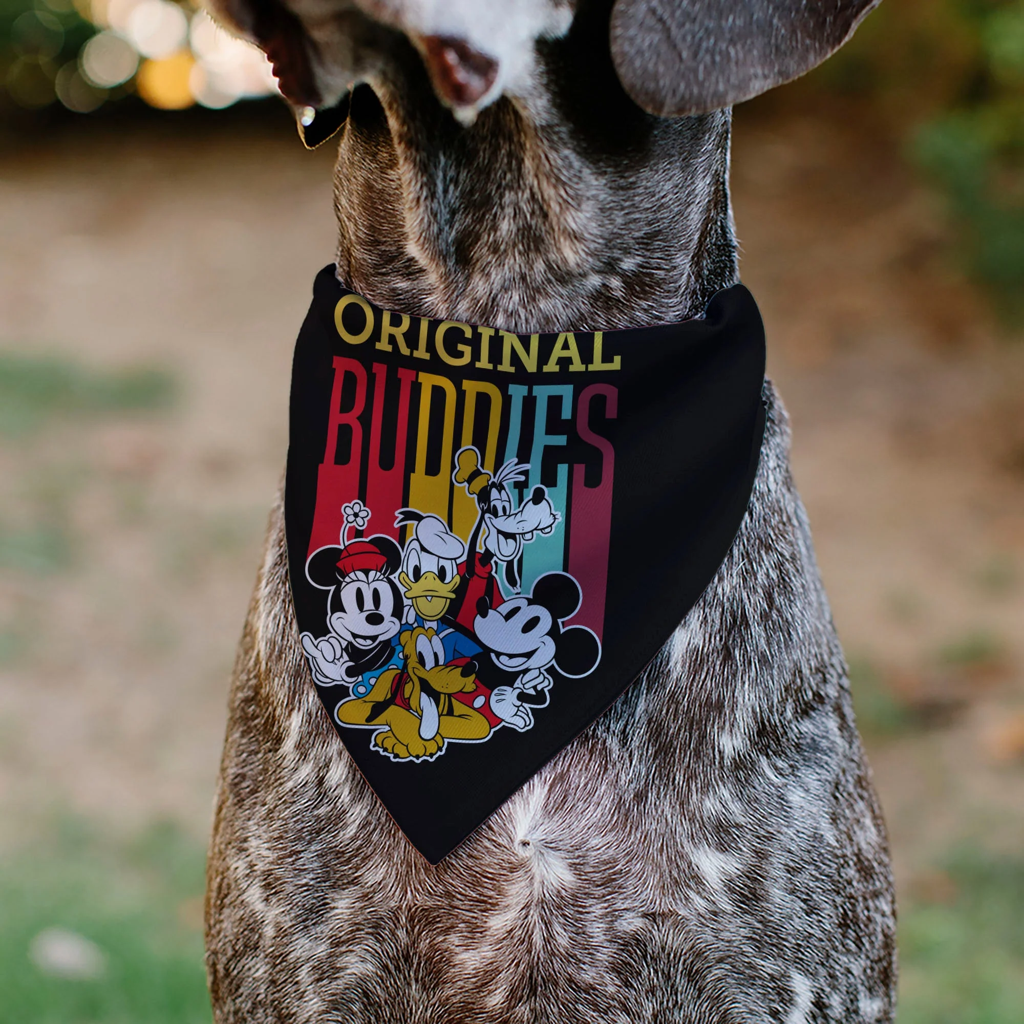 Pet Bandana - Disney Fab Five ORIGINAL BUDDIES Group Pose Black - Image 4