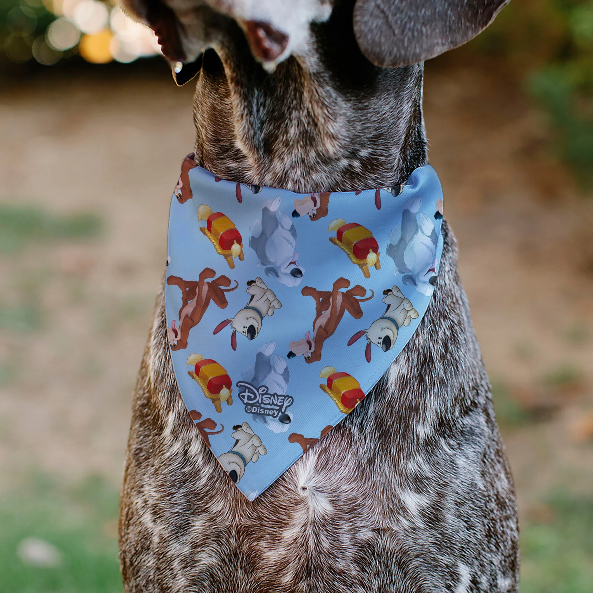Pet Bandana - Disney Princess Dogs 4-Dog Group Collage/Paws Blues - Image 5