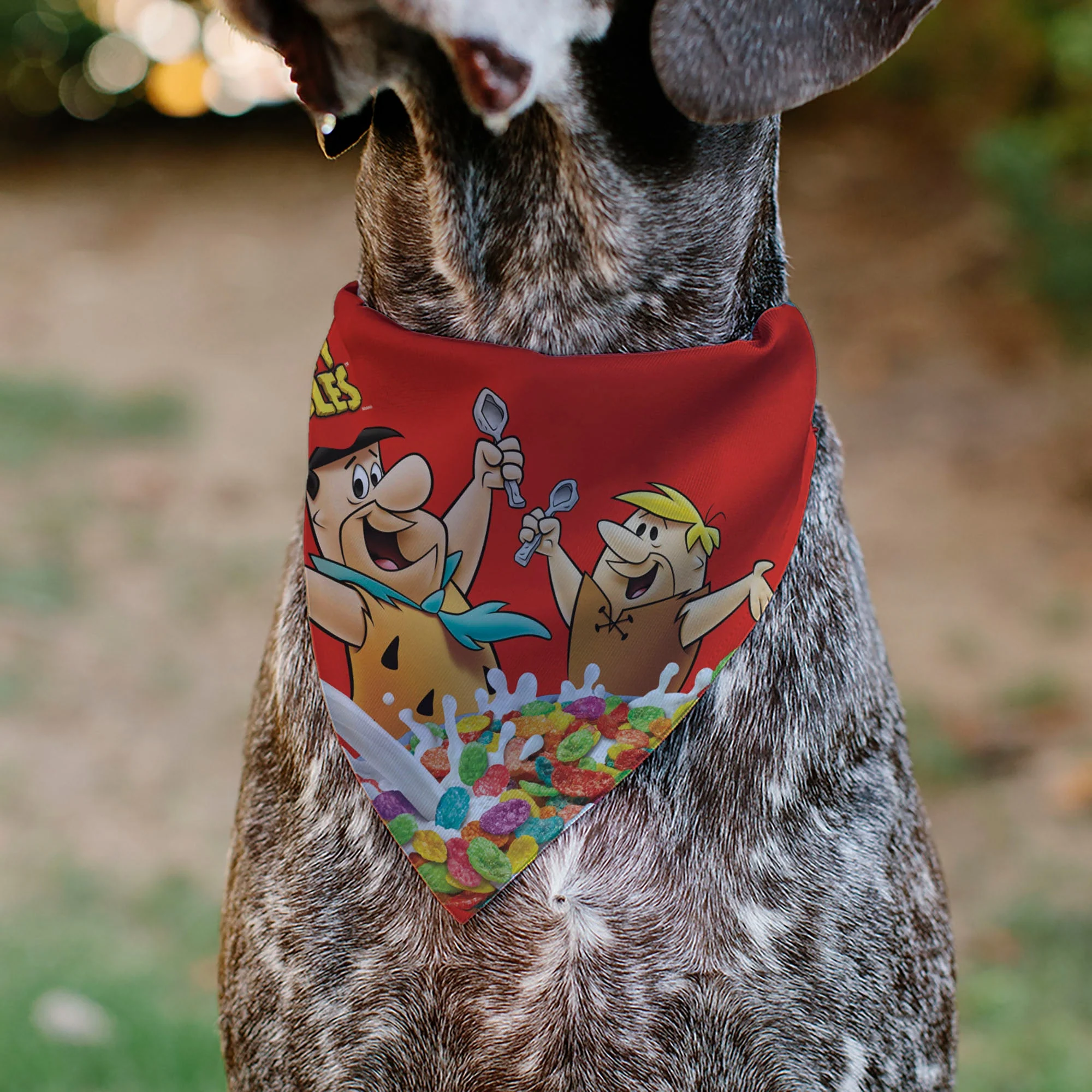 Pet Bandana - FRUITY PEBBLES Fred Flintstone and Barney Rubble Cereal Box Print and Vivid Cereal Multi Color - Image 4