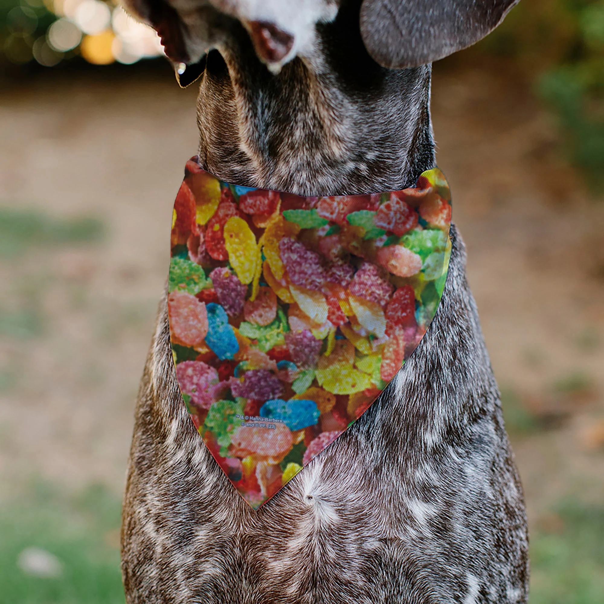 Pet Bandana - FRUITY PEBBLES Fred Flintstone and Barney Rubble Cereal Box Print and Vivid Cereal Multi Color - Image 5