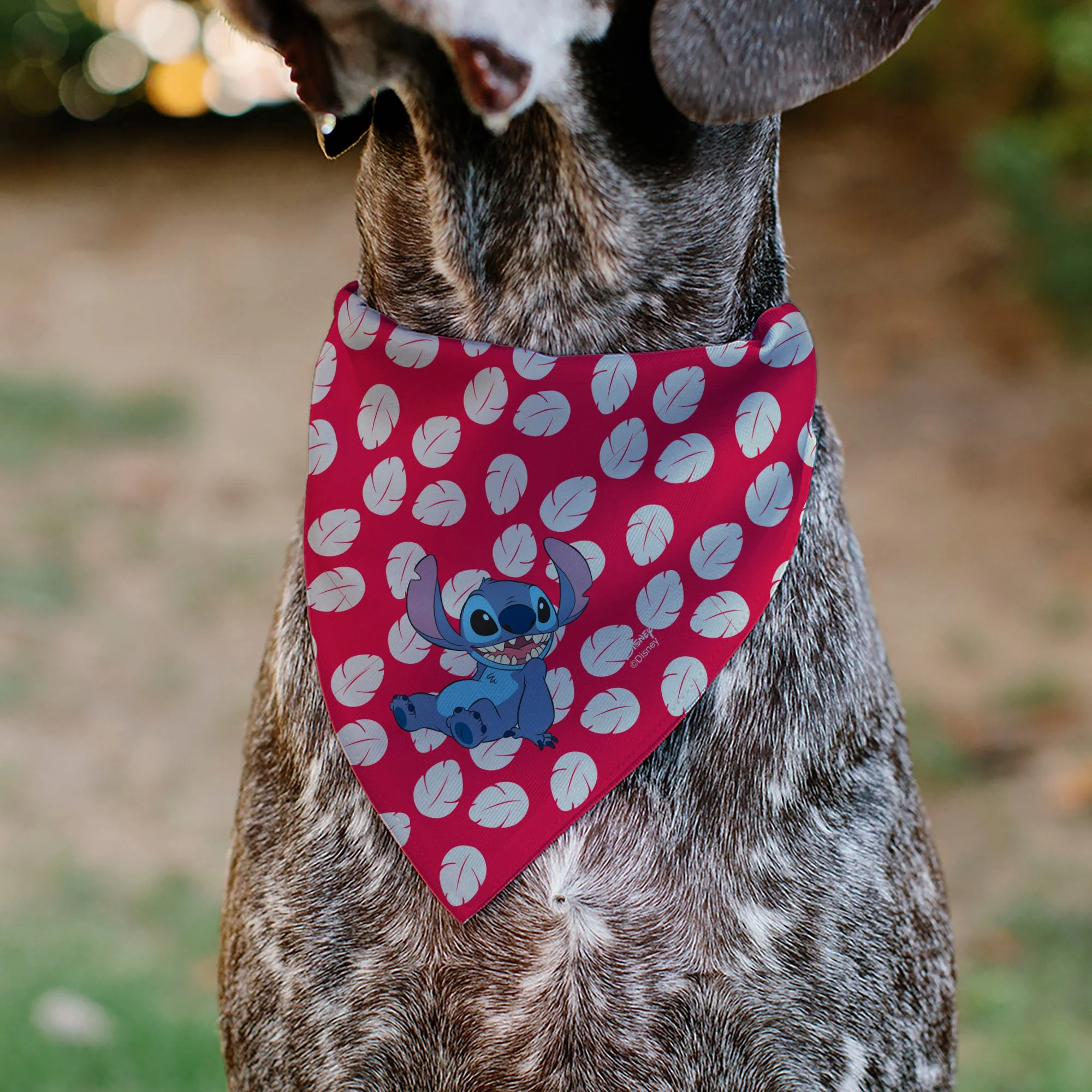 Pet Bandana - Lilo Dress Leaves & Stitch Sitting Pose Red/White - Image 4