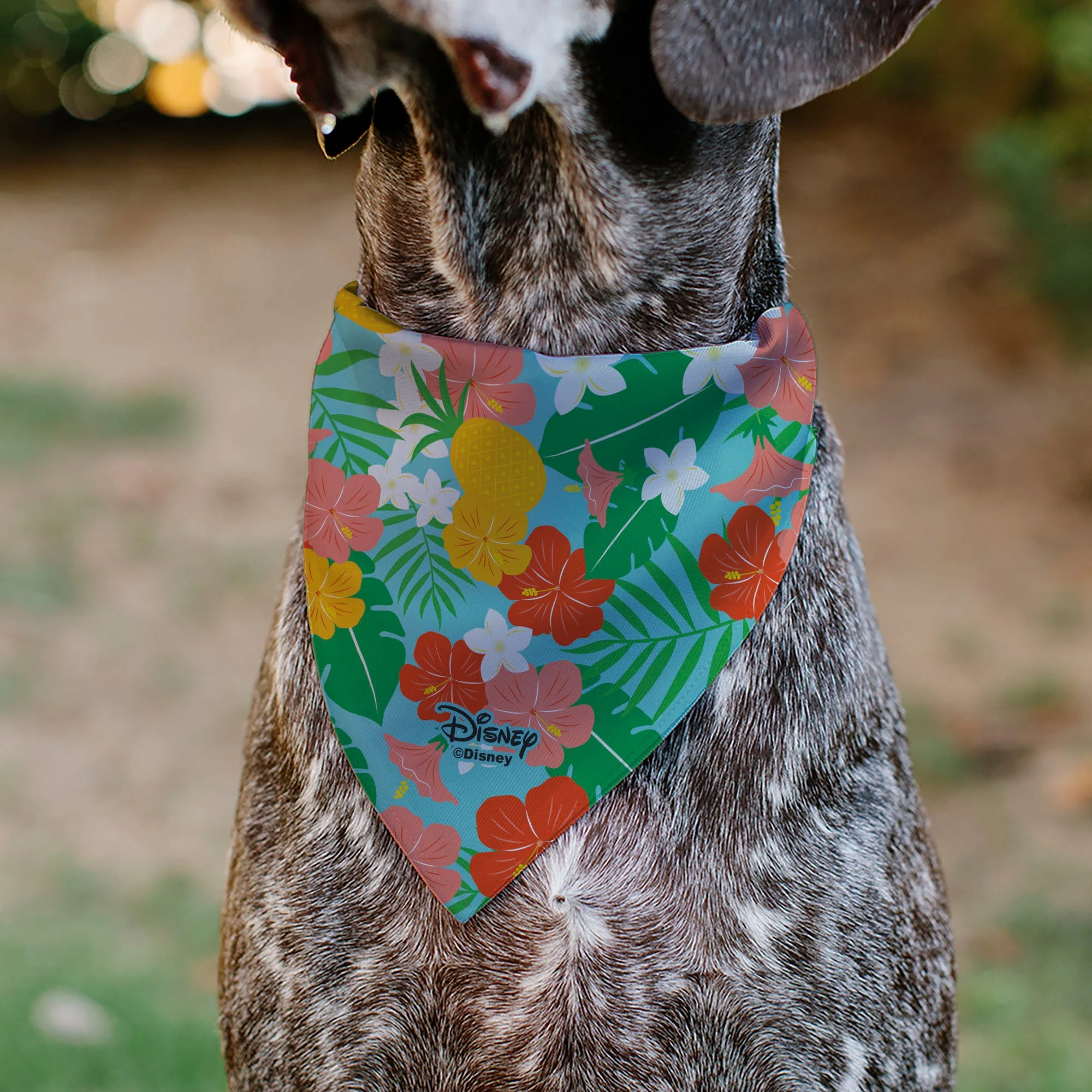 Pet Bandana - Lilo & Stitch Stitch Hang Loose Pose Floral Collage Blue - Image 5