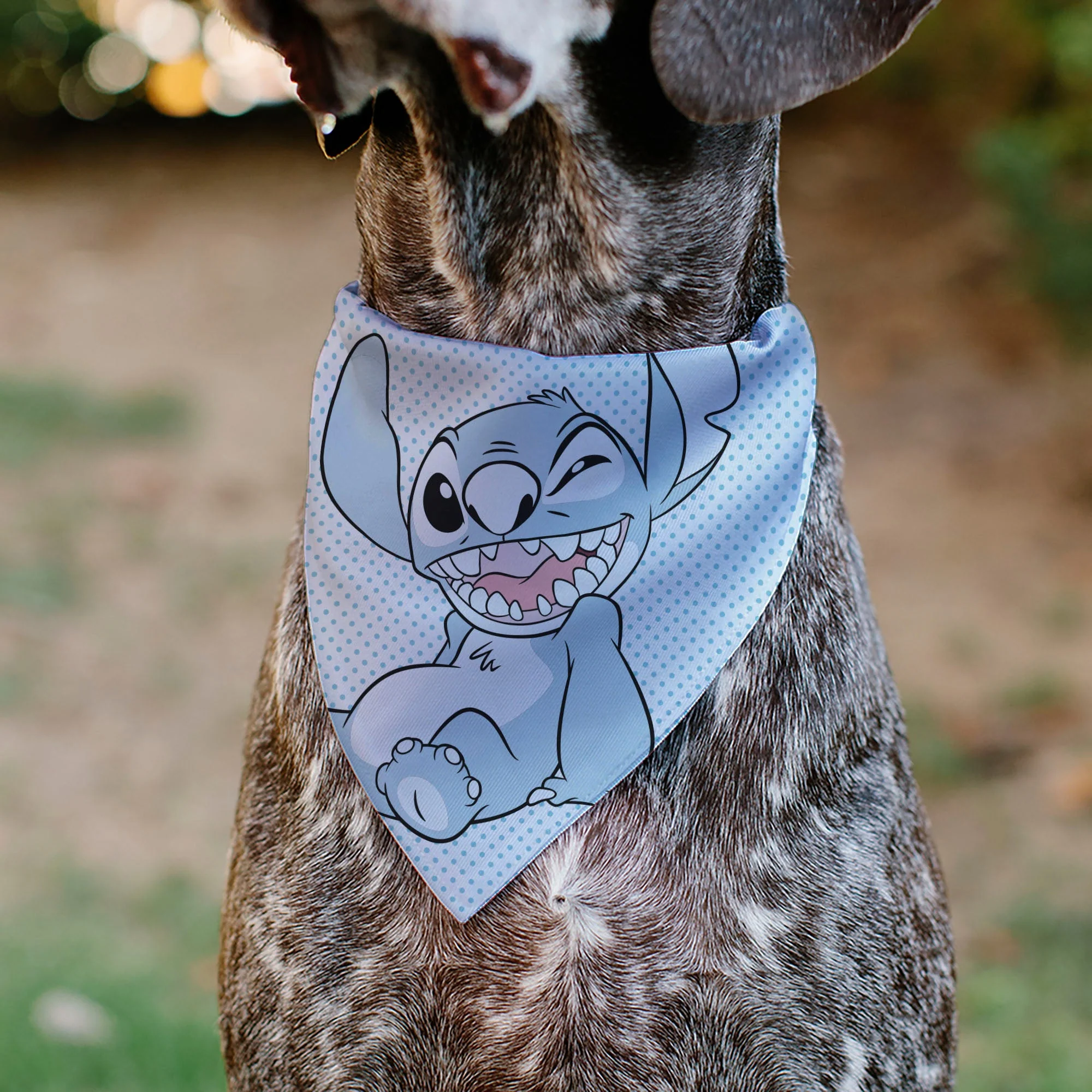 Pet Bandana - Lilo & Stitch Stitch Winking Pose and Polka Dots White/Blue - Image 4