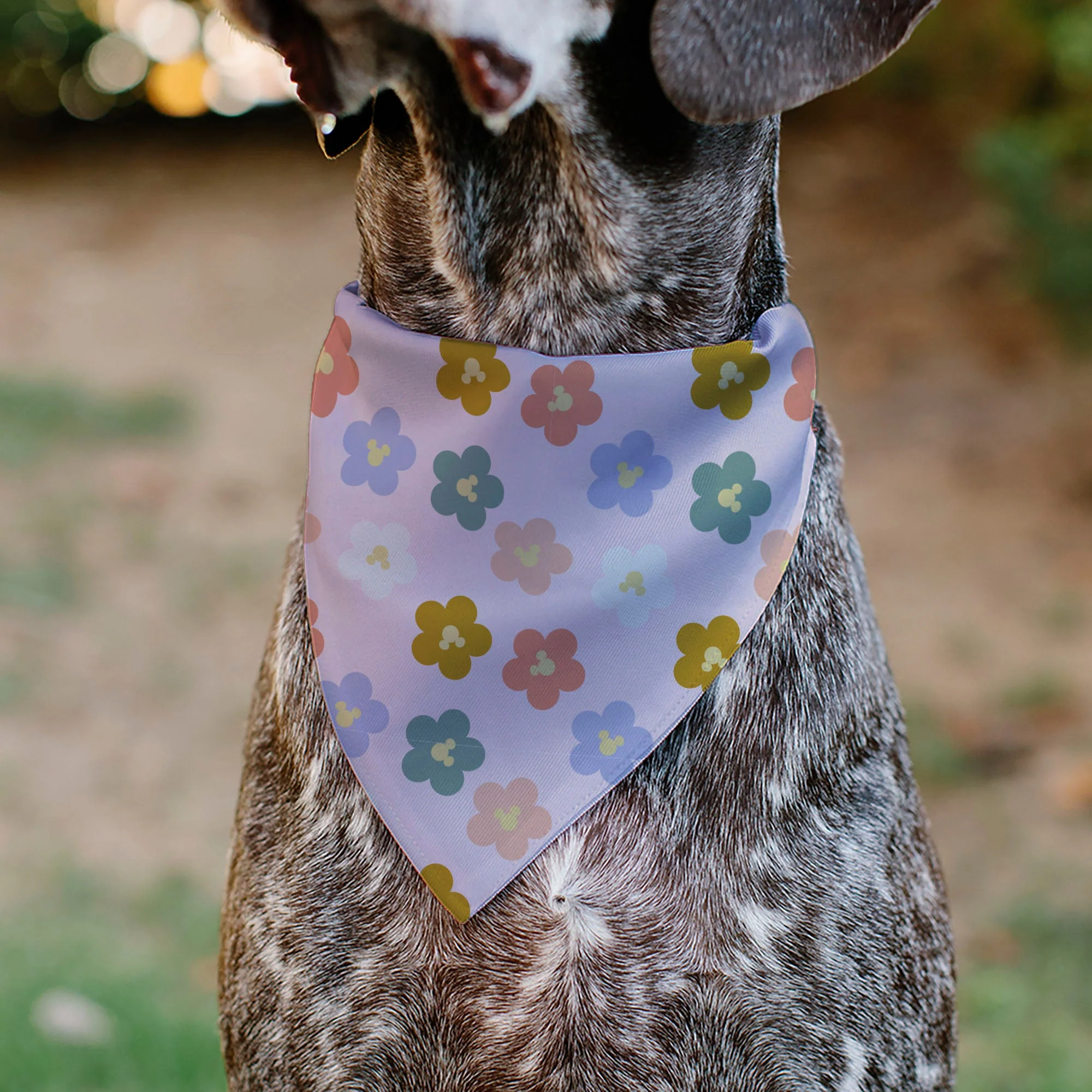Pet Bandana - Mickey Mouse Ears Flower Icon Scattered Pink - Image 4