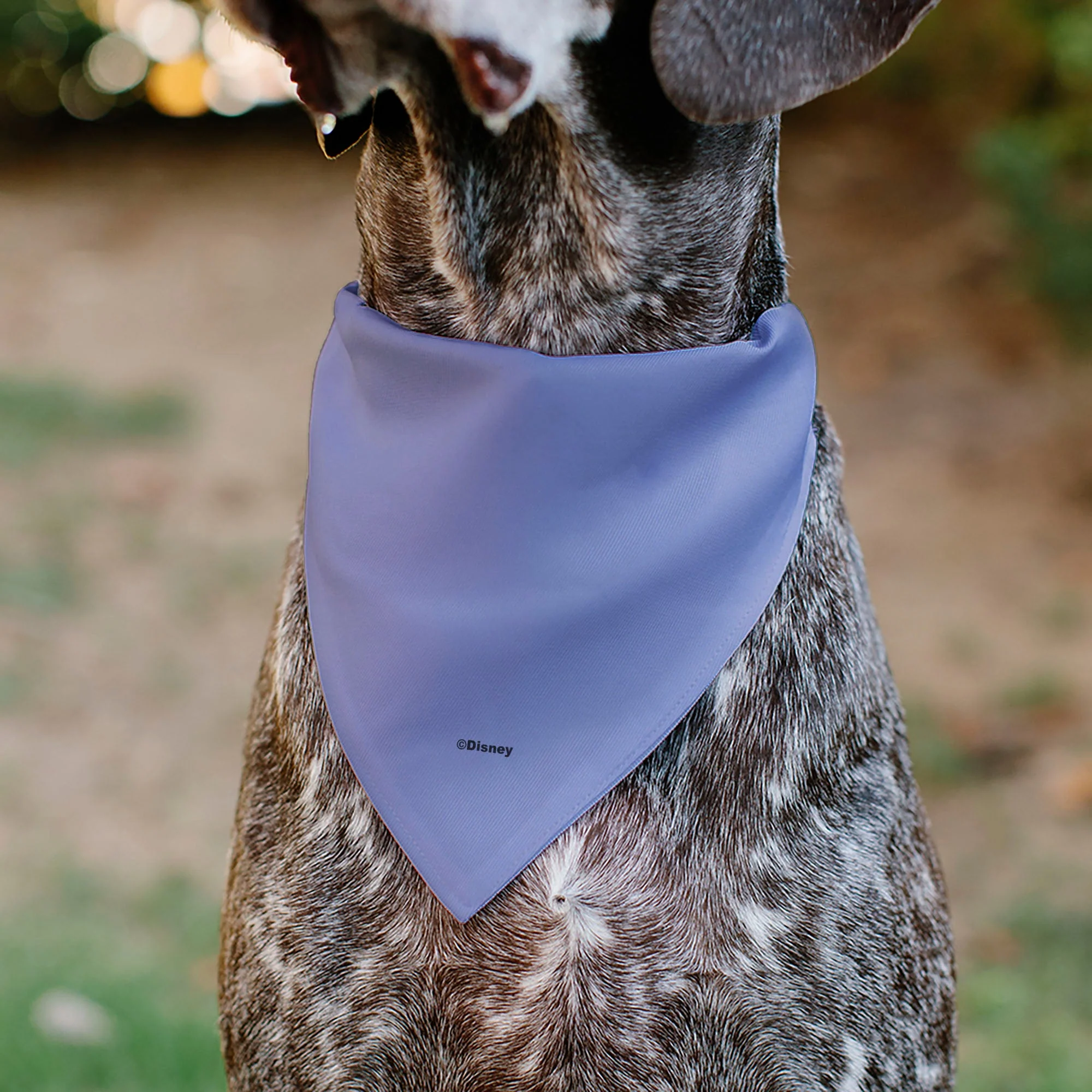 Pet Bandana - Mickey Mouse Ears Flower Icon Scattered Pink - Image 5
