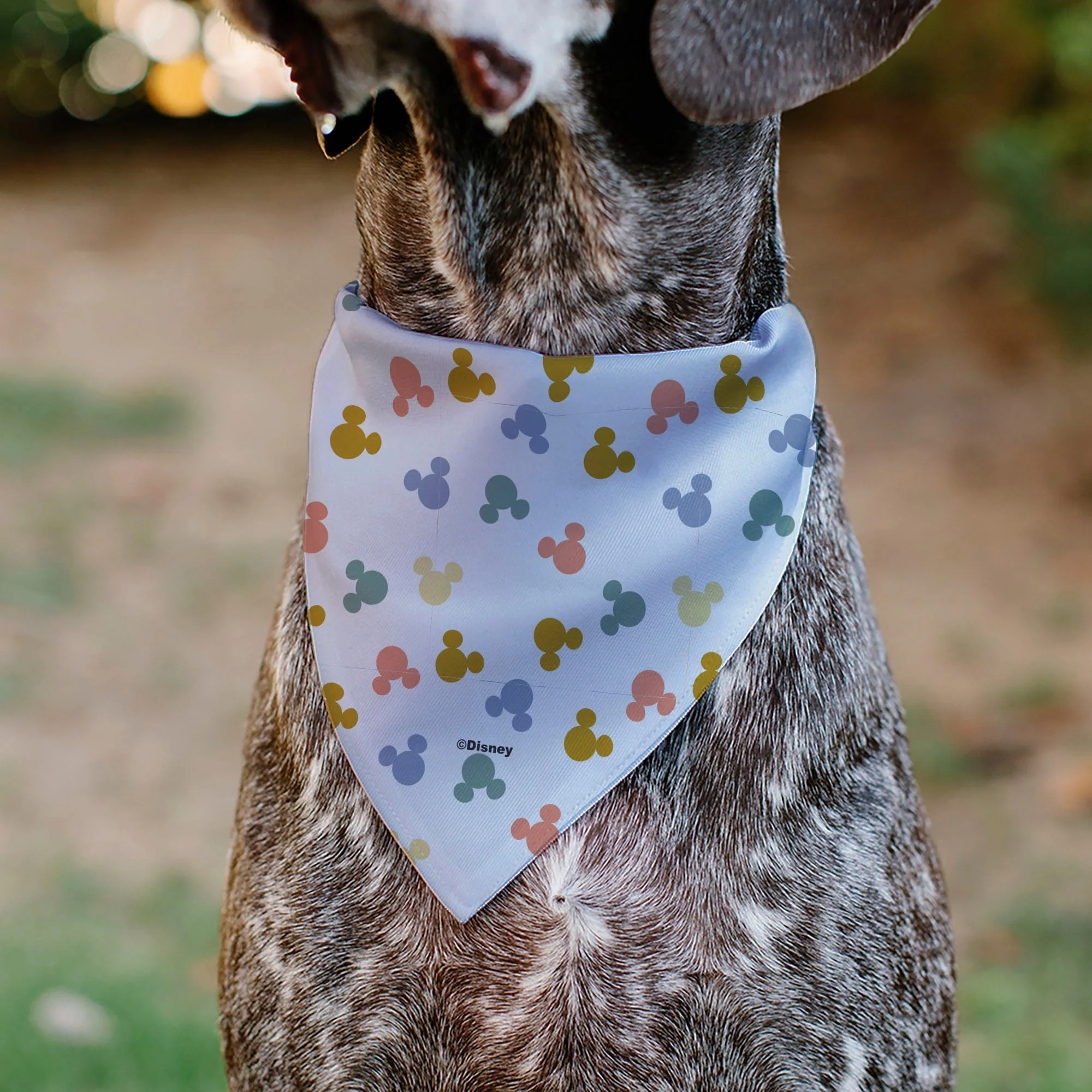 Pet Bandana - Mickey Mouse Ears Icon Scattered White - Image 5
